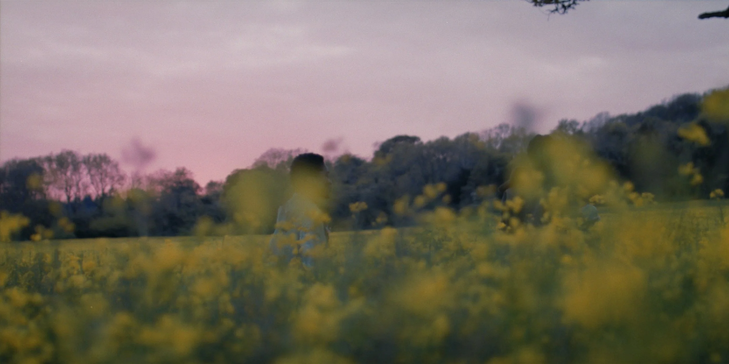 13 - Memories of Green.jpg