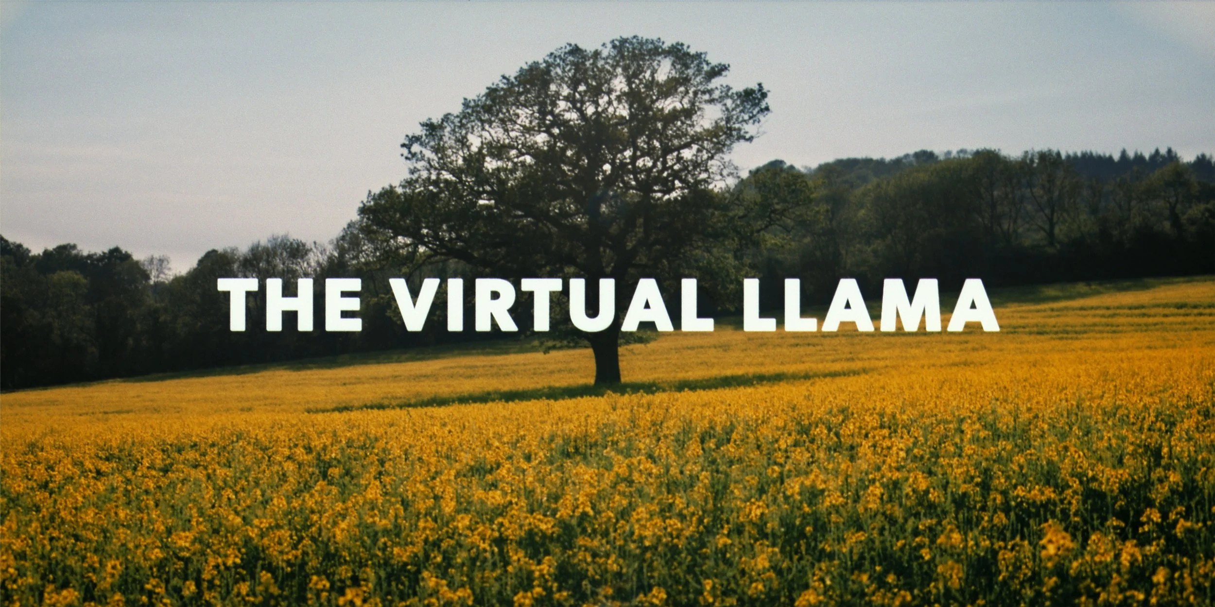 1 - Field and Title.jpg