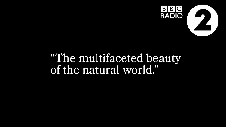 Multi beauty.jpg