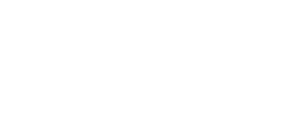 TFI LOGO WHITE.png