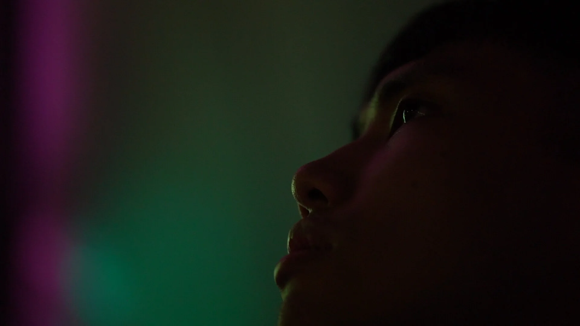 owlinspace projects leaf.jpg