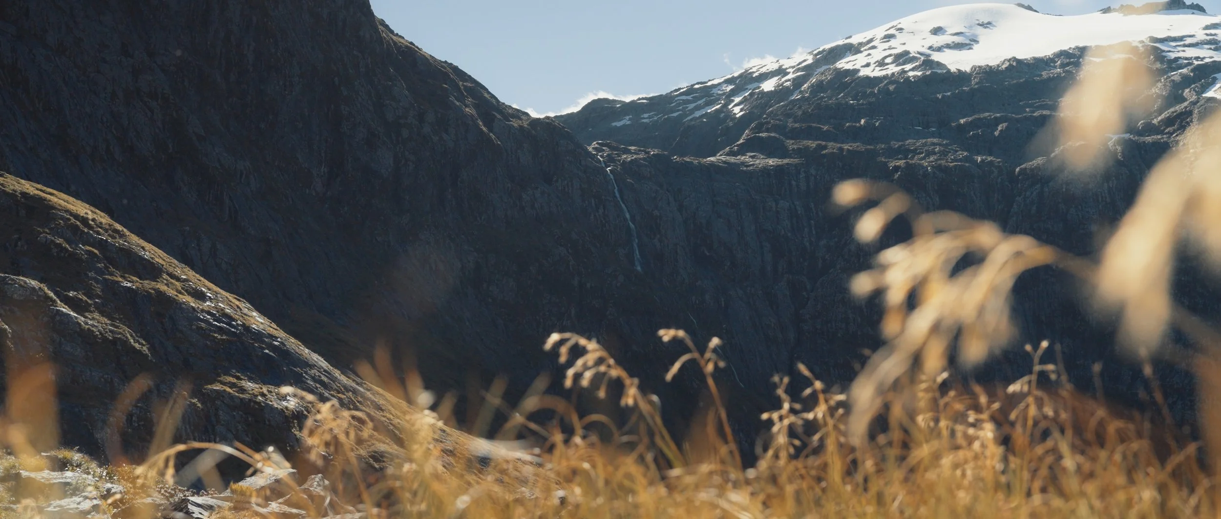 Tara + Jay Stills_1.48.1.jpg