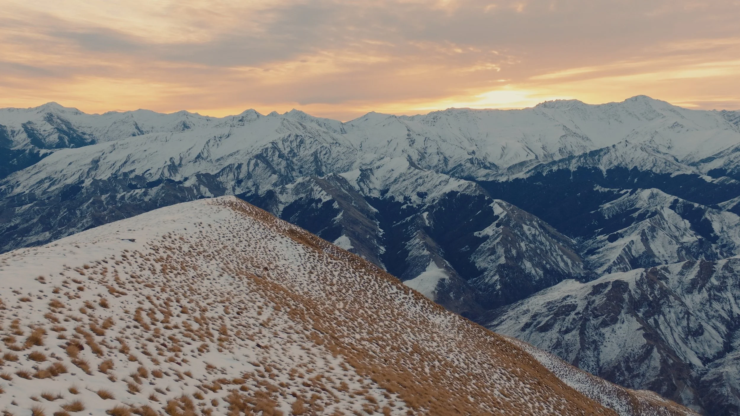 N&A Stills_1.1.1.jpg