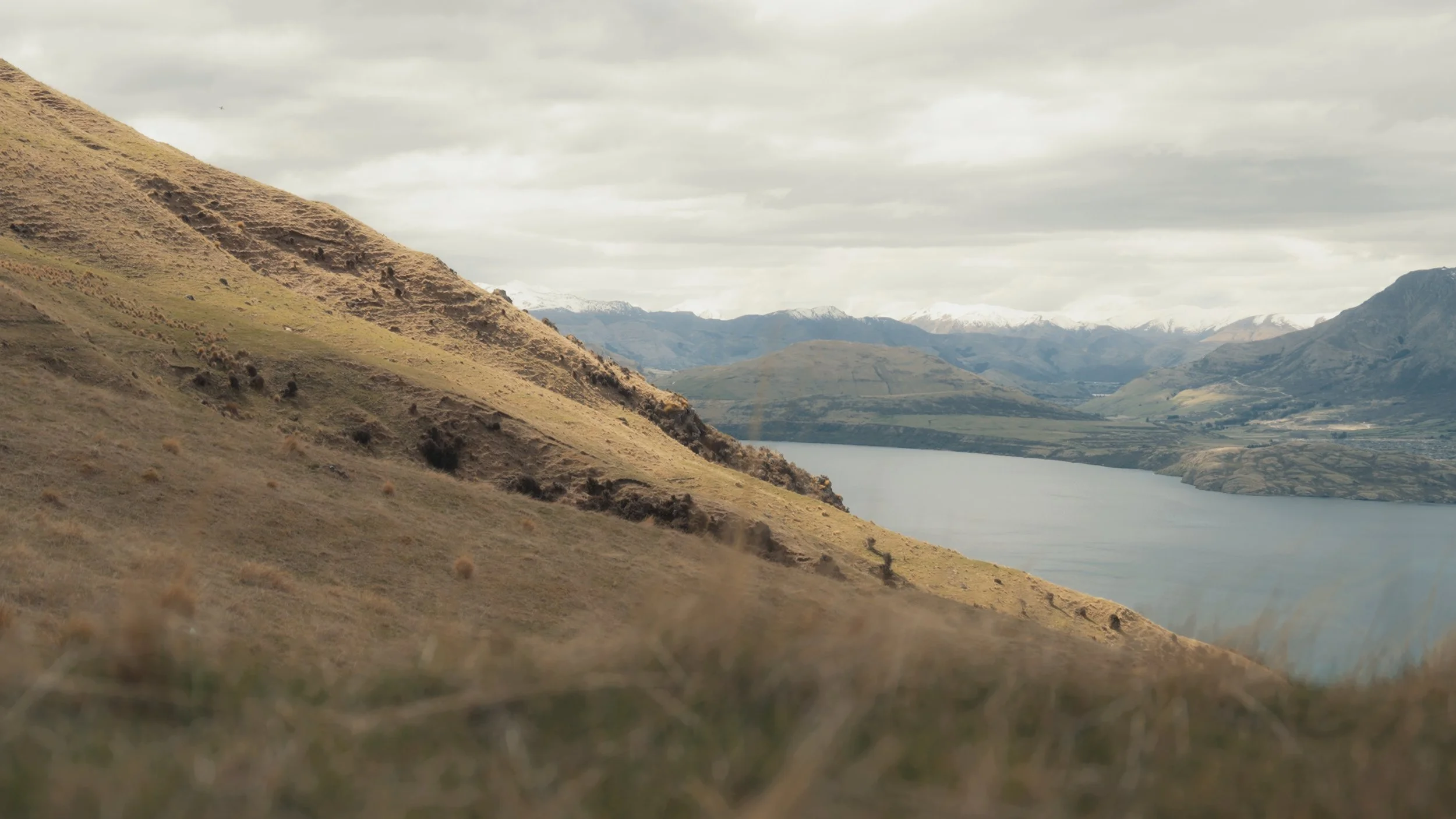 T+J Stills_1.54.1.jpg