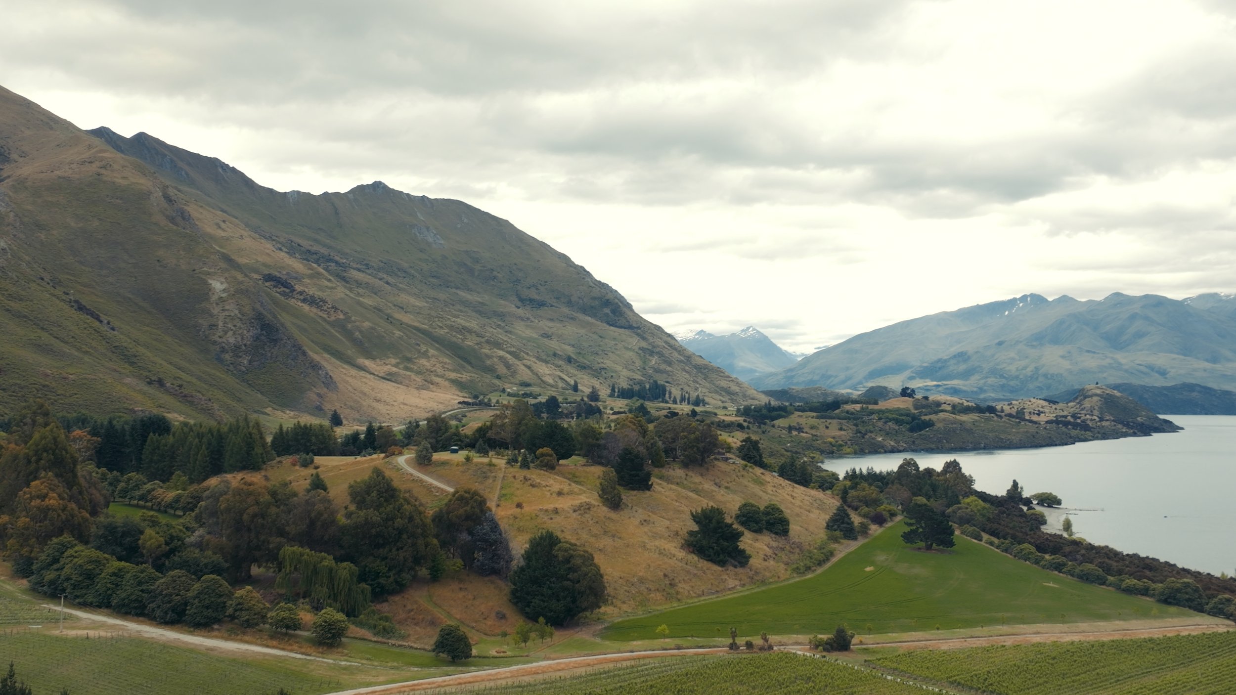 Still 2026-04-22 134219_1.63.1.jpg