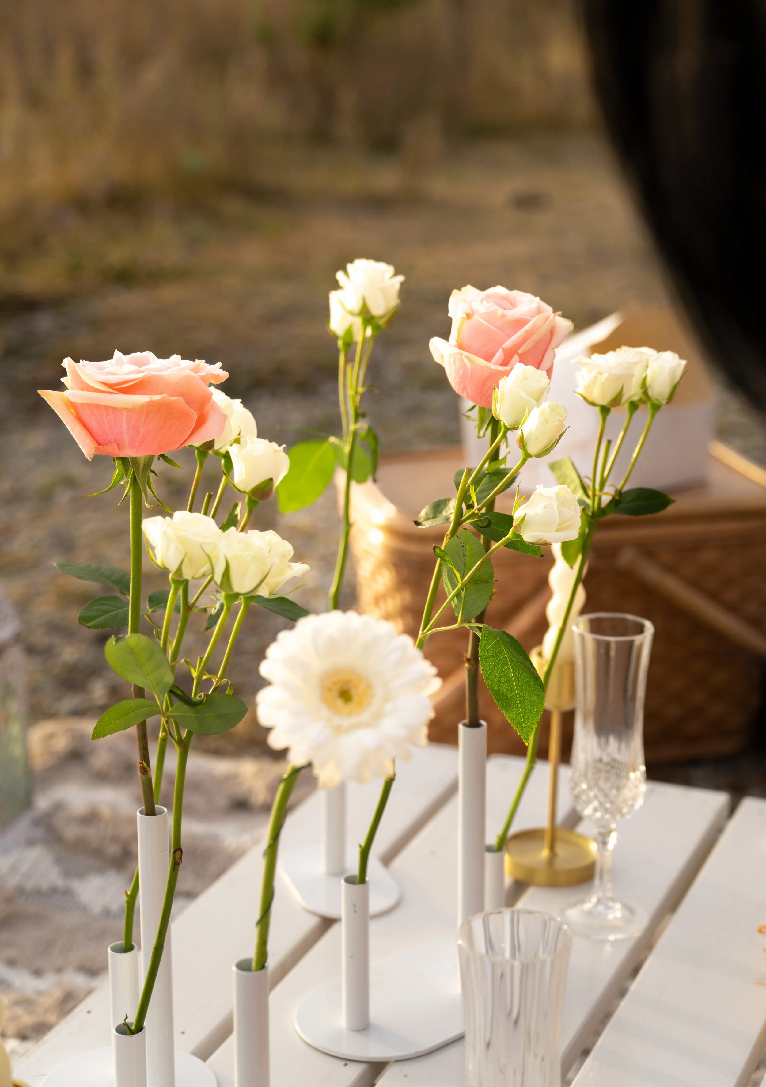 Chris + Sabina Photos-49.jpg