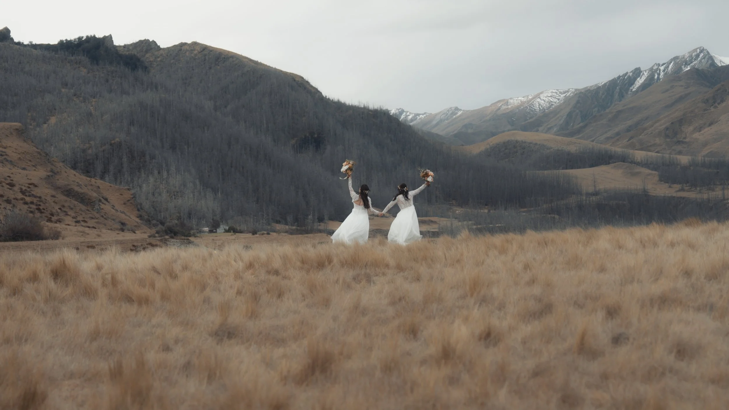 D&M Stills_1.65.1.jpg