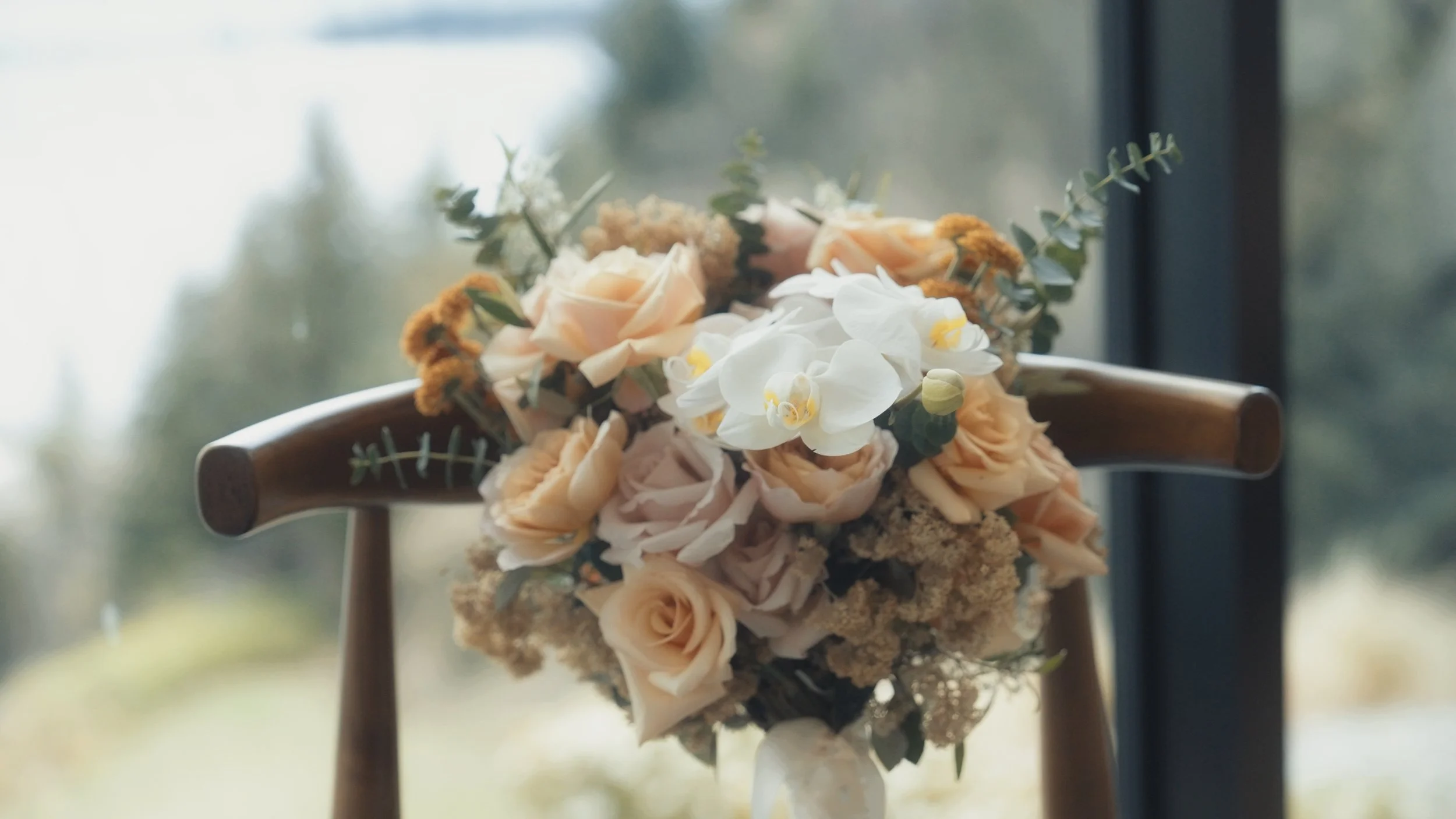 D&M Stills_1.22.1.jpg