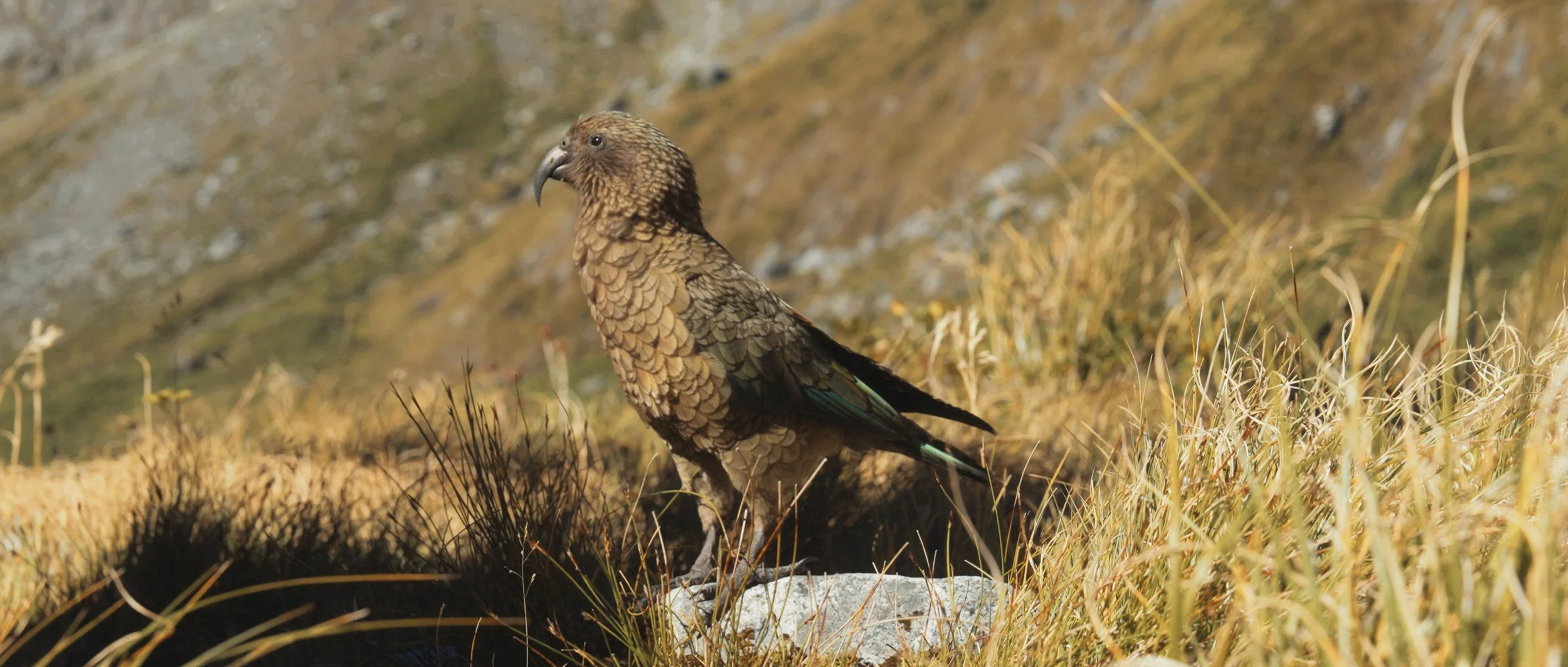 Tara + Jay Stills_1.23.1.jpg