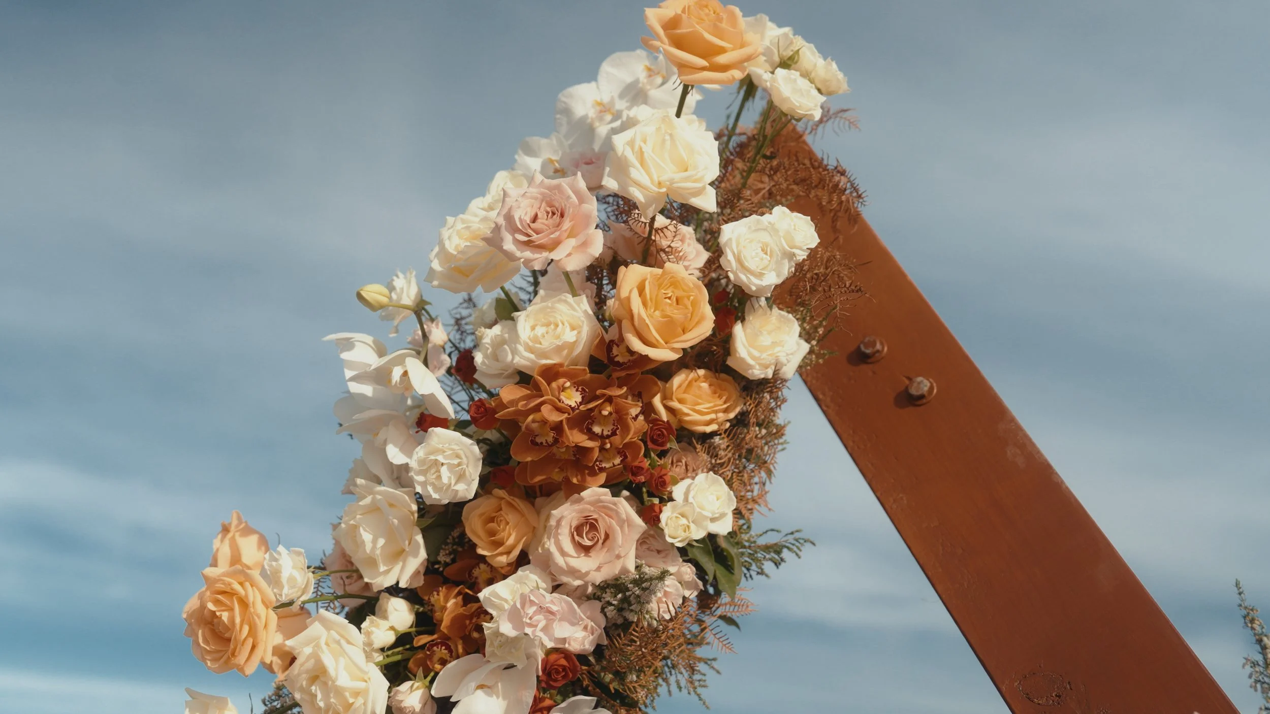 N&A Stills_1.21.1.jpg