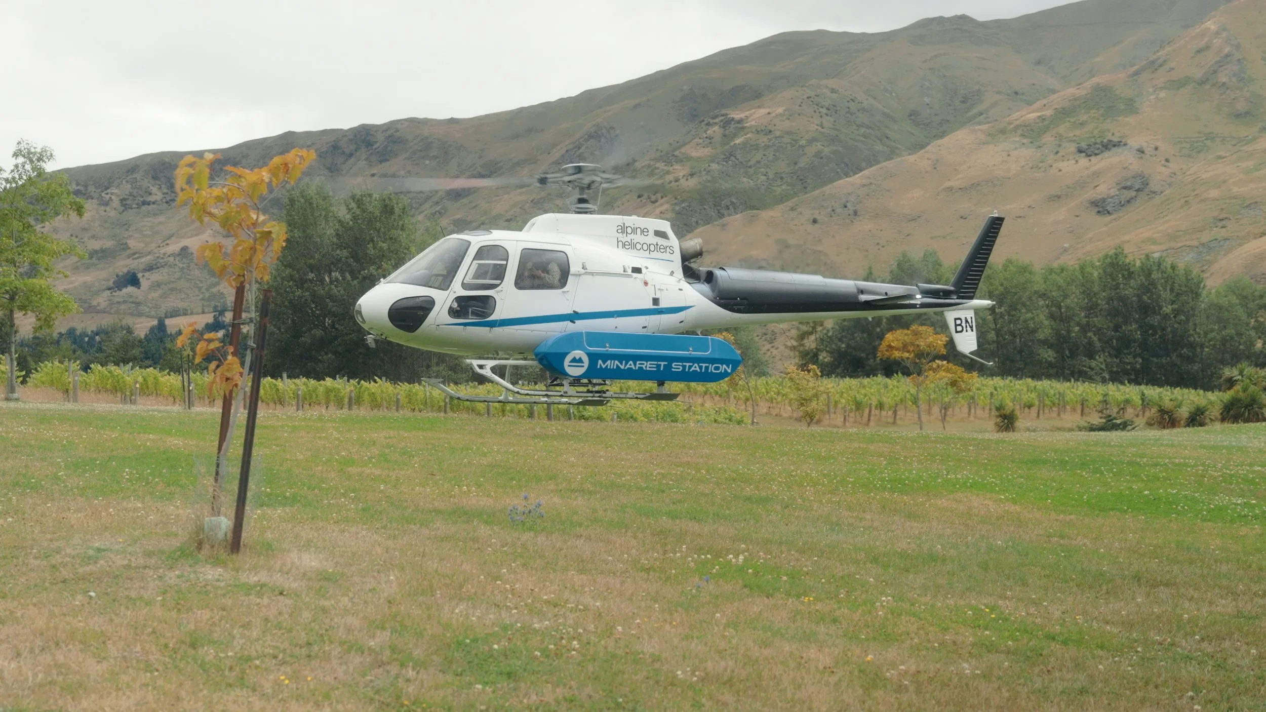 Still 2026-04-22 134219_1.137.1.jpg