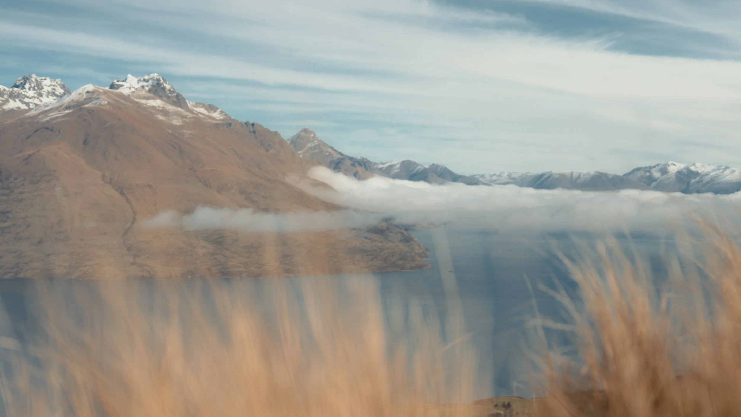 N&A Stills_1.30.1.jpg