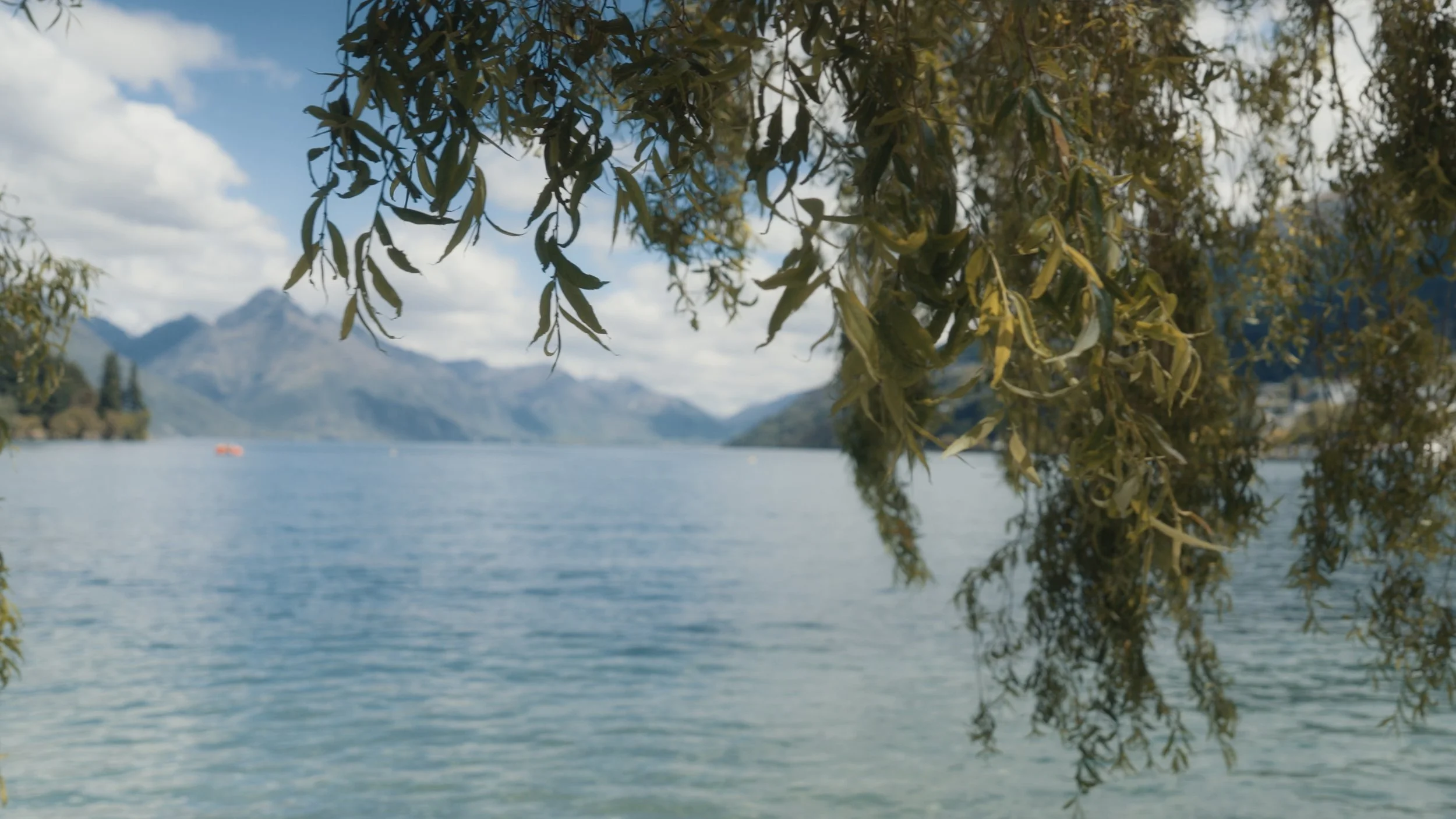 A+A Stills_1.33.1.jpg