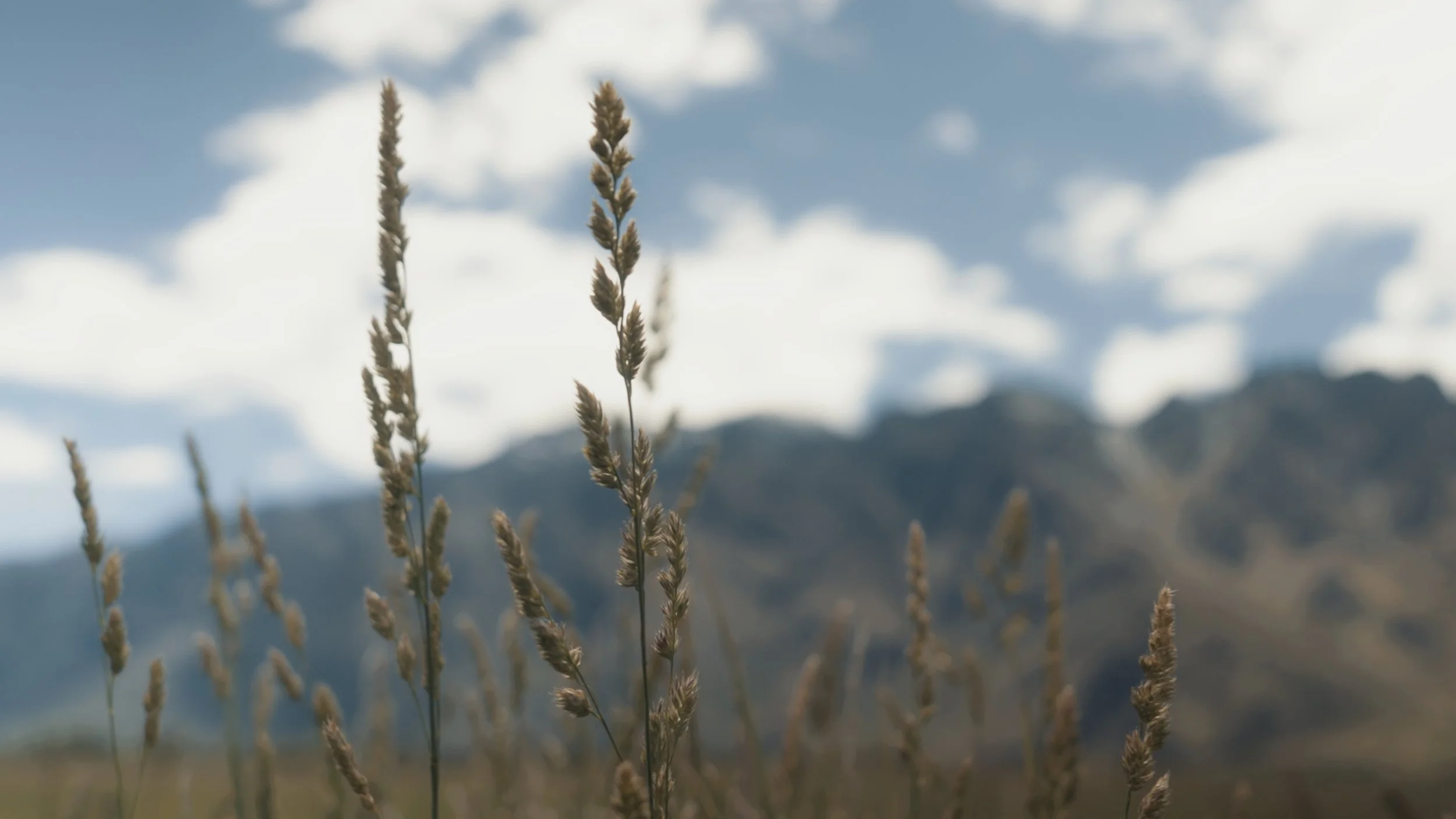 A+A Stills_1.96.1.jpg