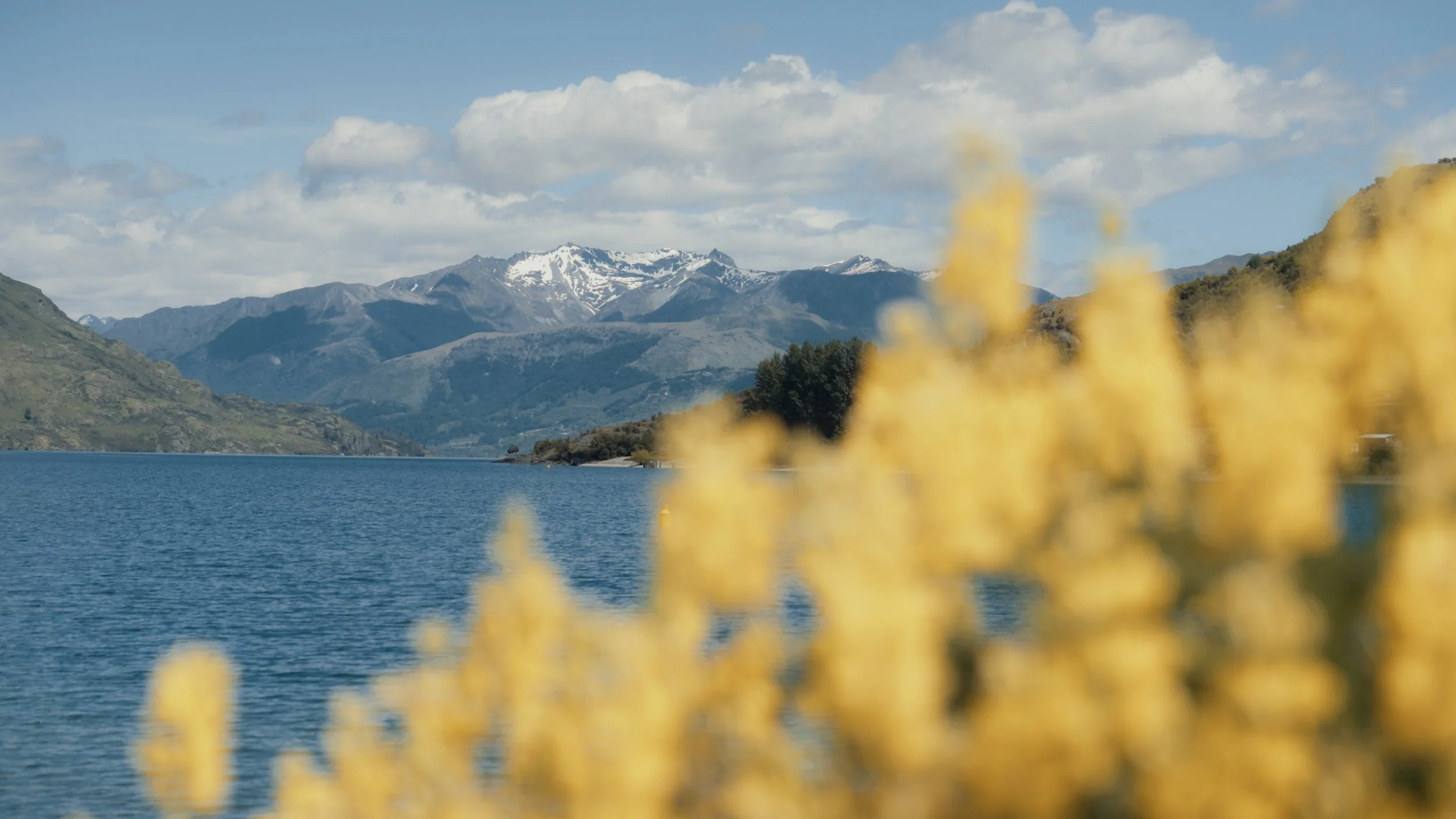 A+A Stills_1.3.1.jpg