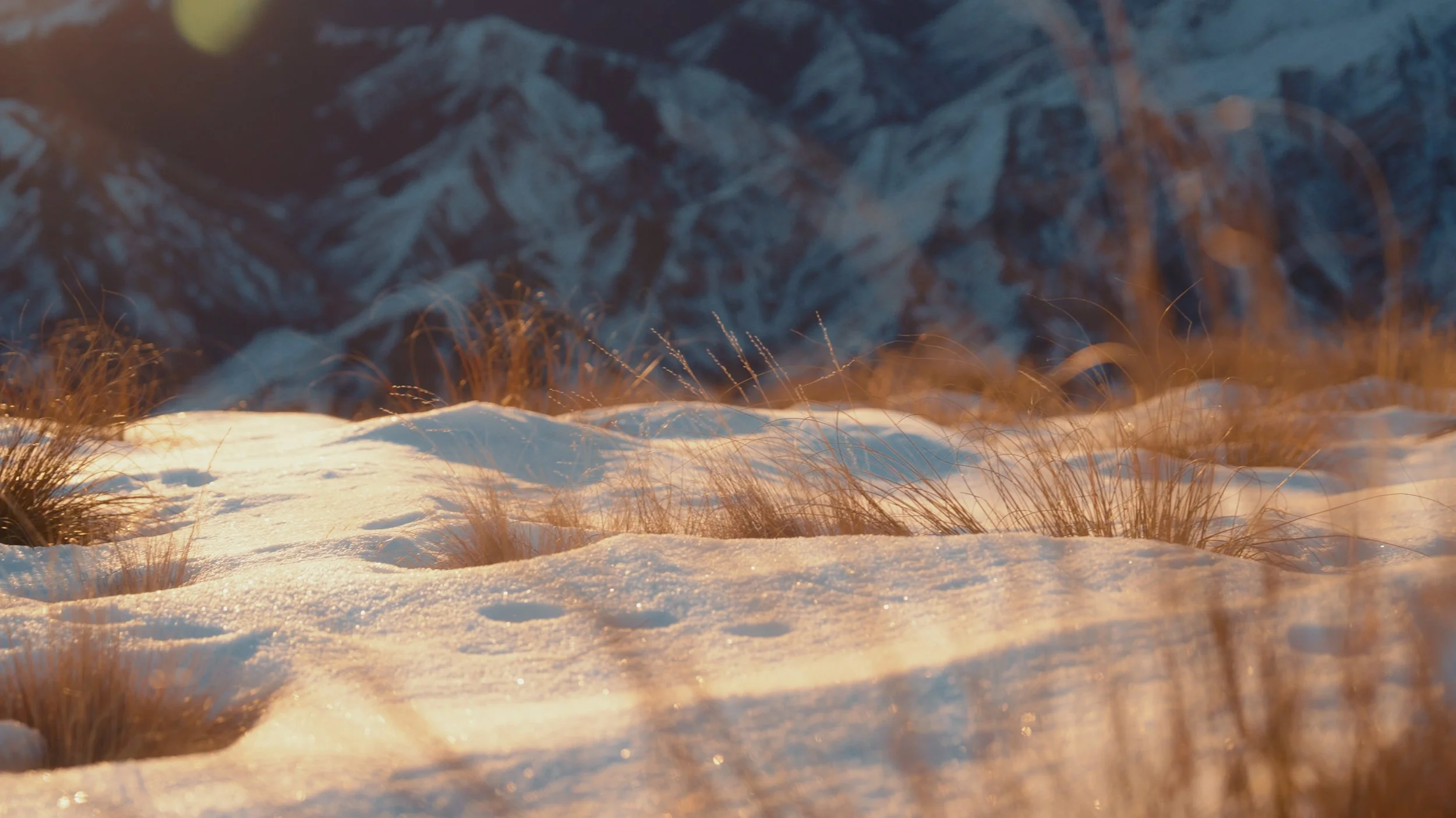 N&A Stills_1.3.1.jpg