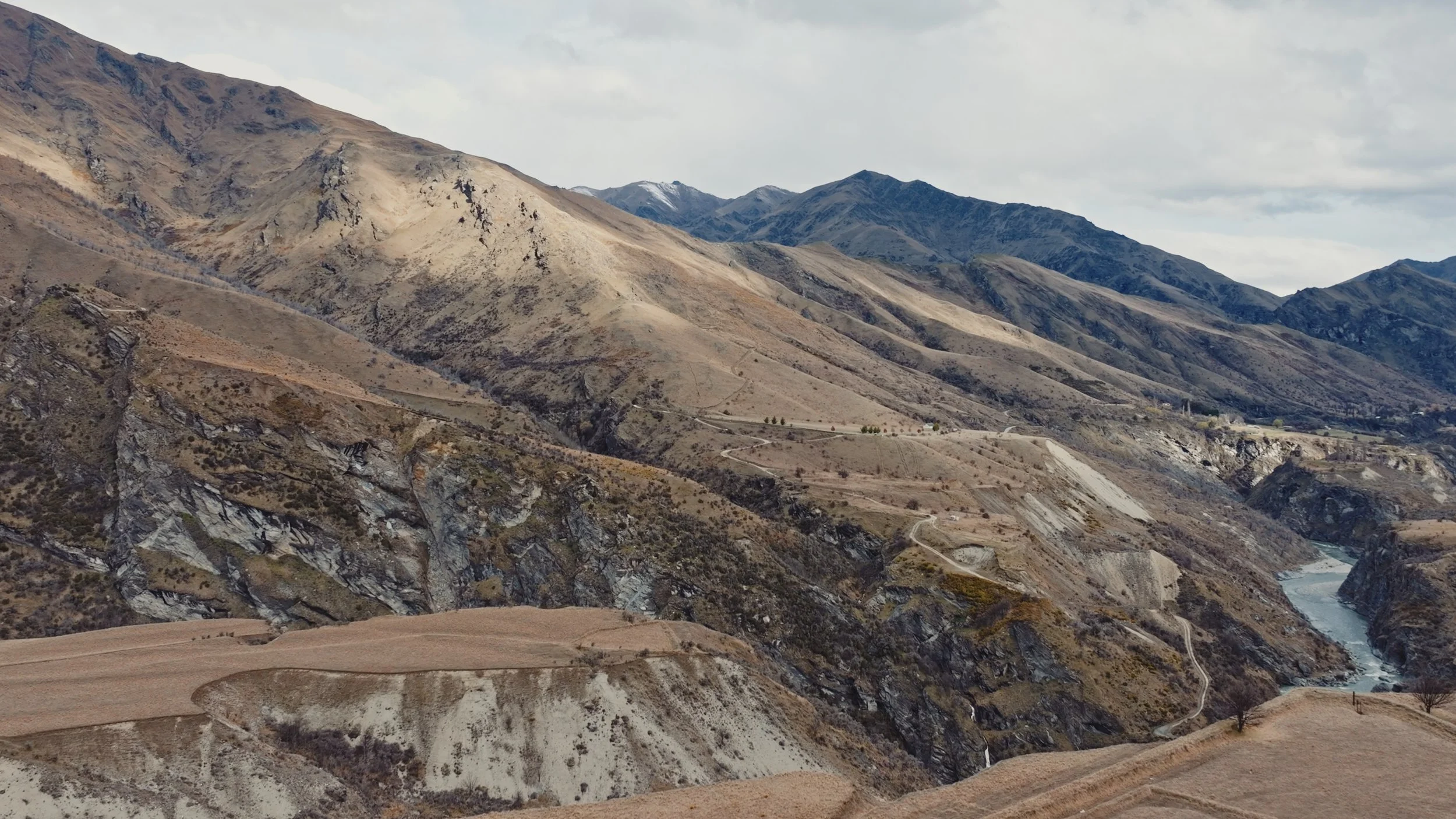 D&M Stills_1.1.1.jpg