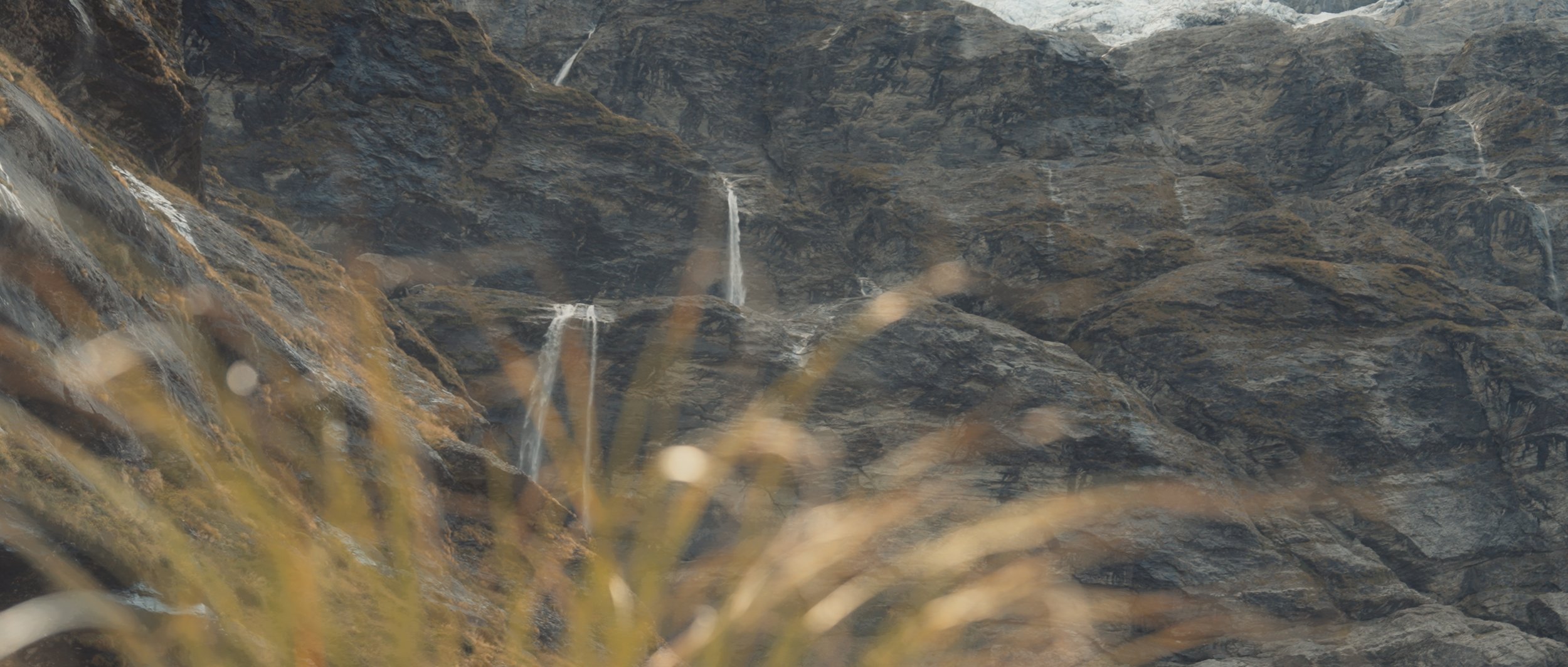 R+M Stills_1.28.1.jpg