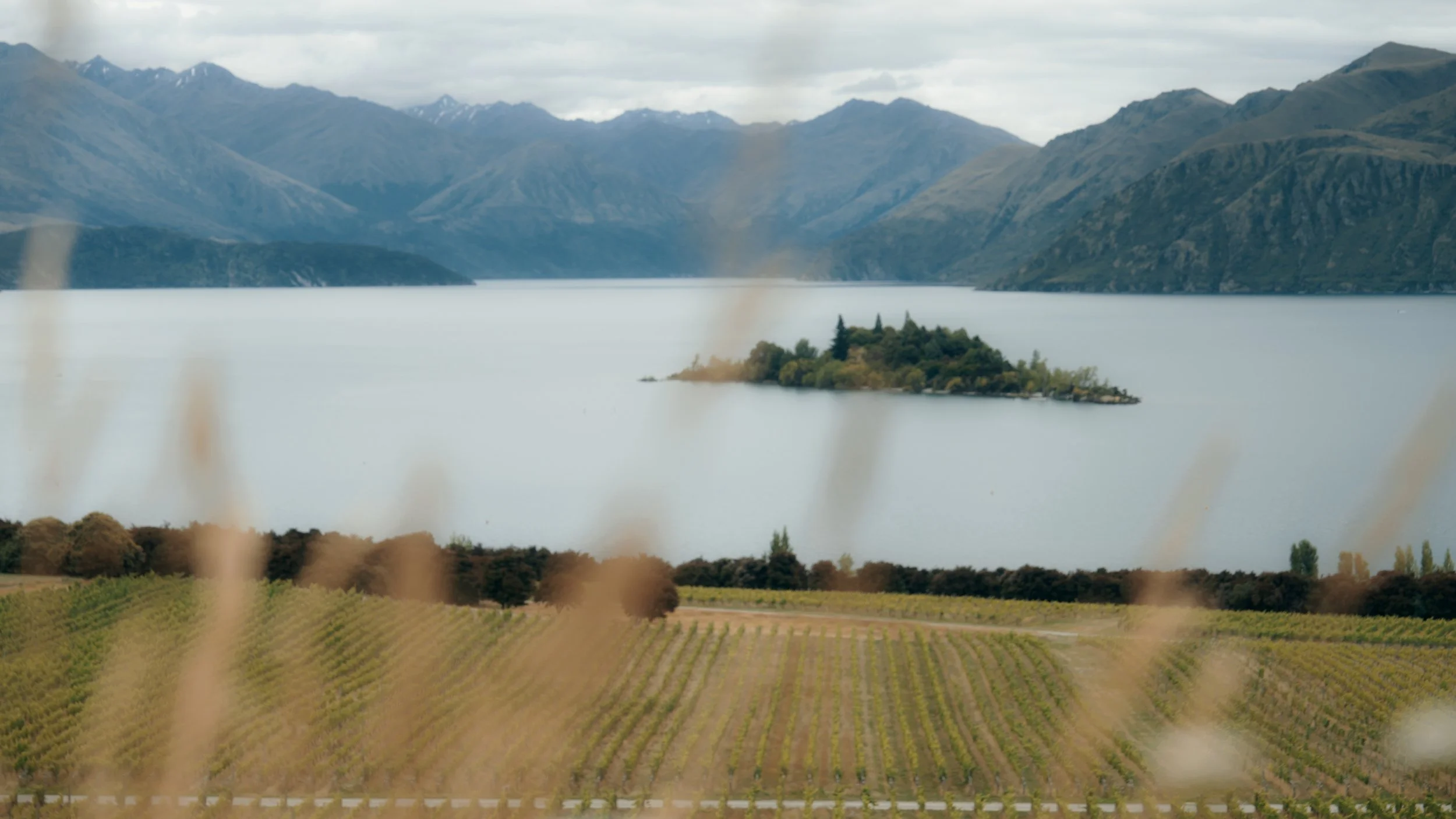 Still 2026-04-22 134219_1.19.1.jpg