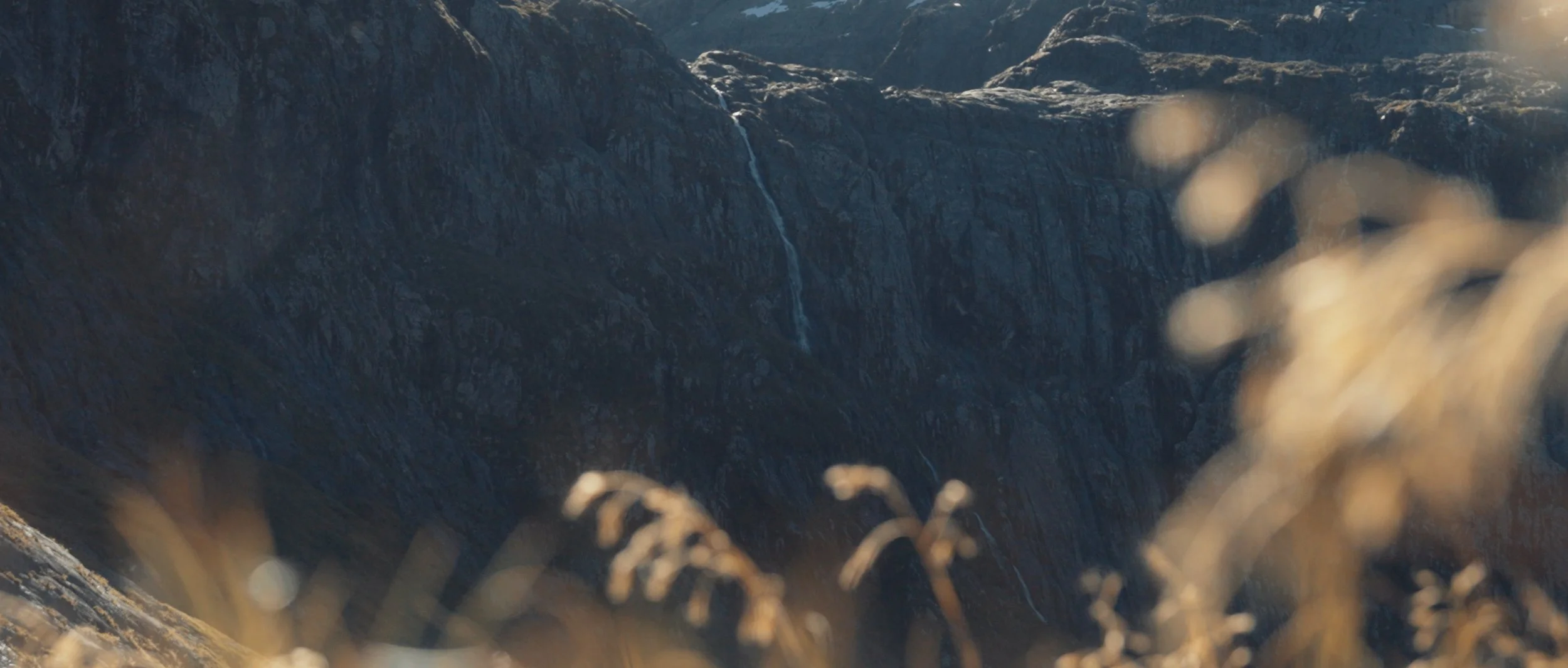 Tara + Jay Stills_1.22.1.jpg