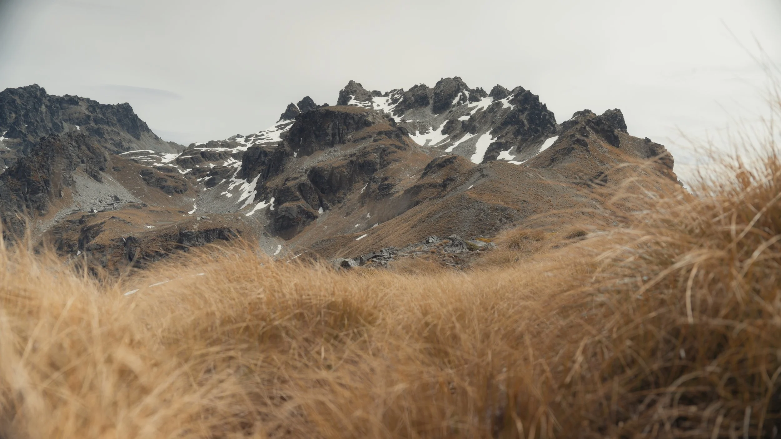 V&K Stills_1.24.1.jpg