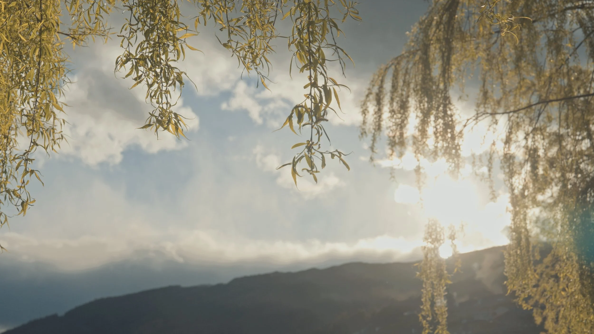 D&M Stills_1.101.1.jpg