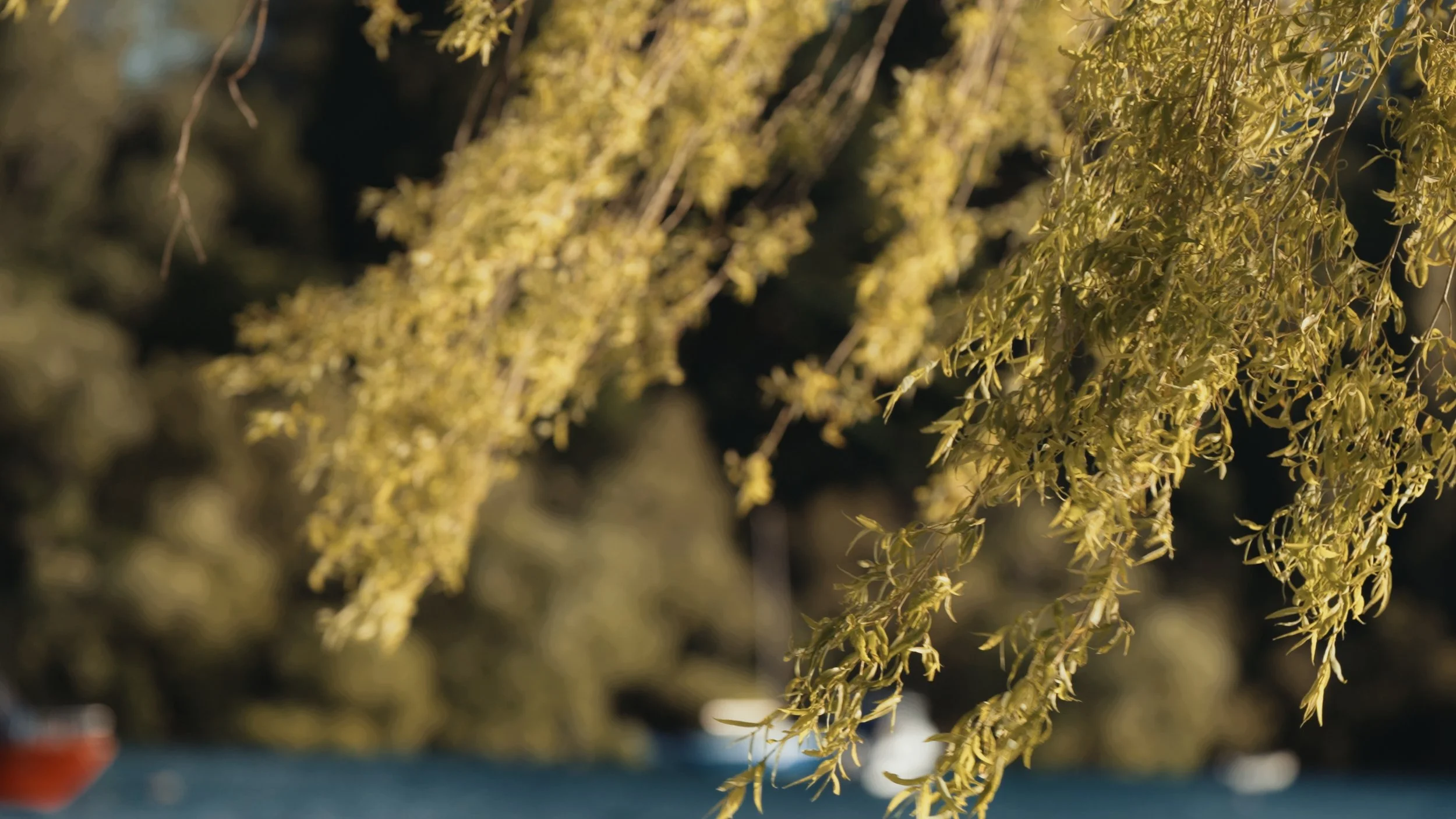 D&M Stills_1.48.1.jpg