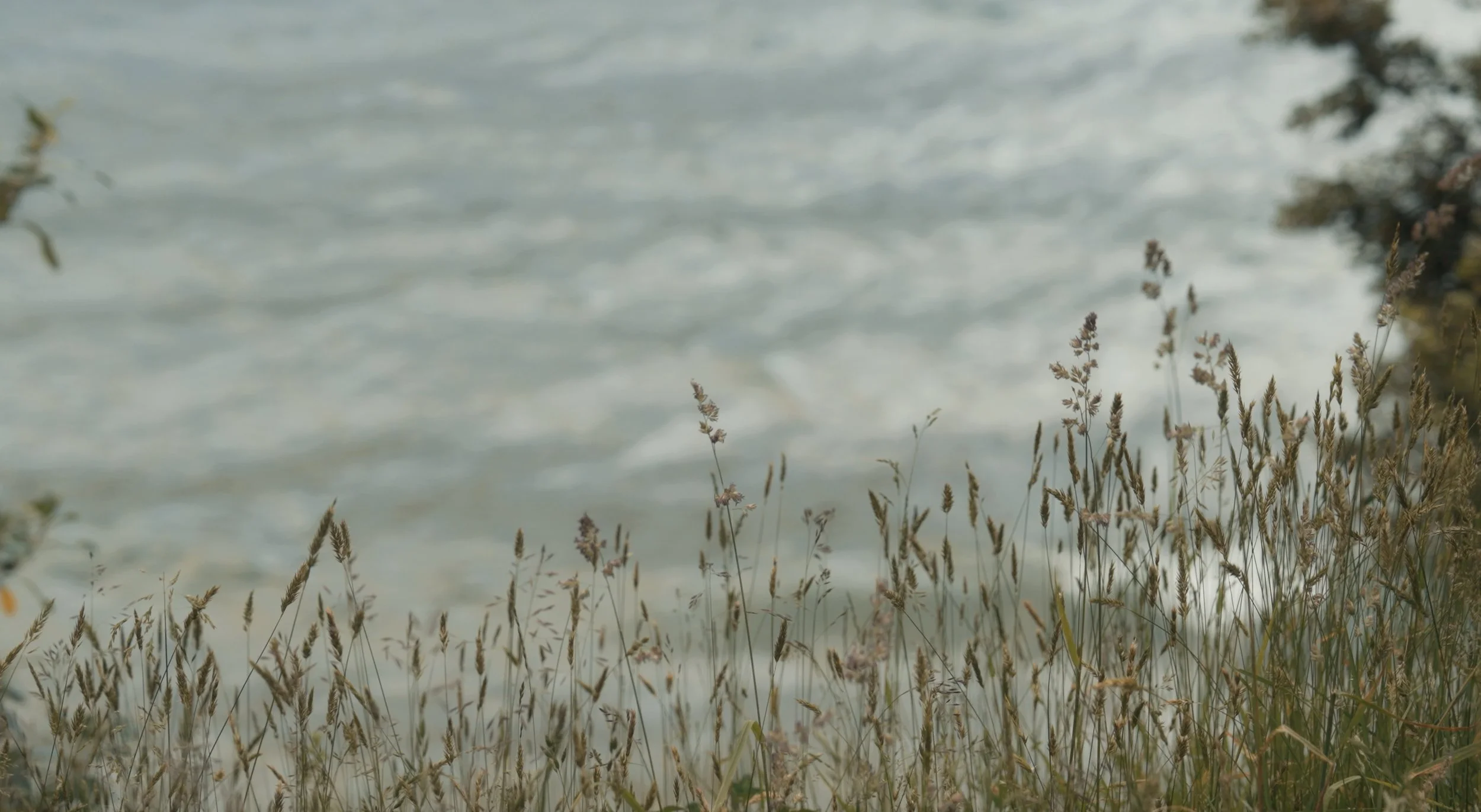 V&K Stills_1.47.1.jpg