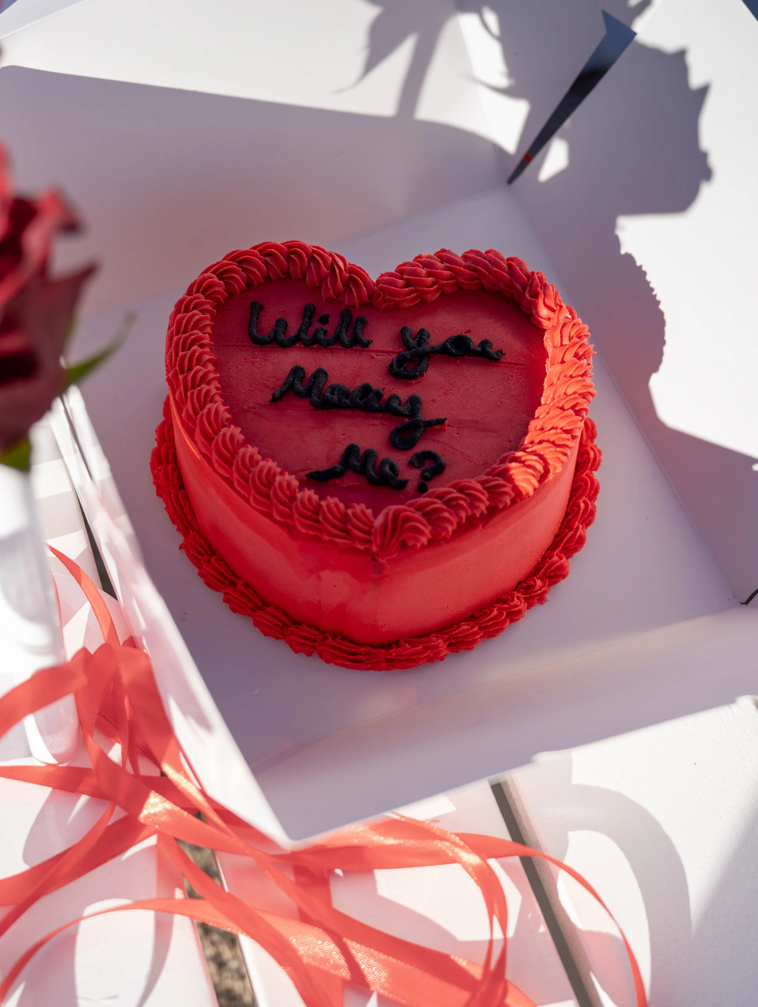 Aman + Khushi Proposal-29.jpg