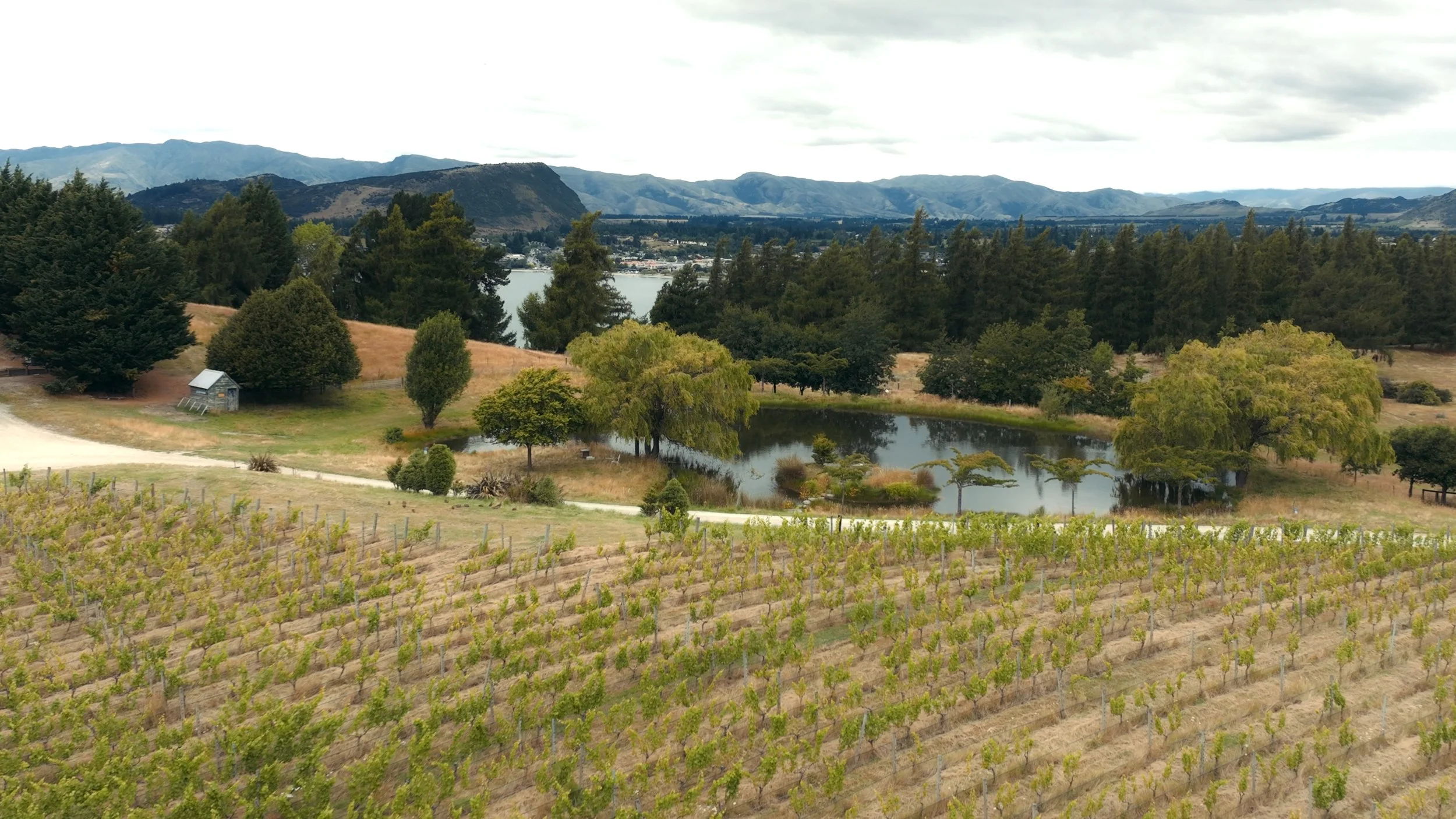 Still 2026-04-22 134219_1.6.1.jpg