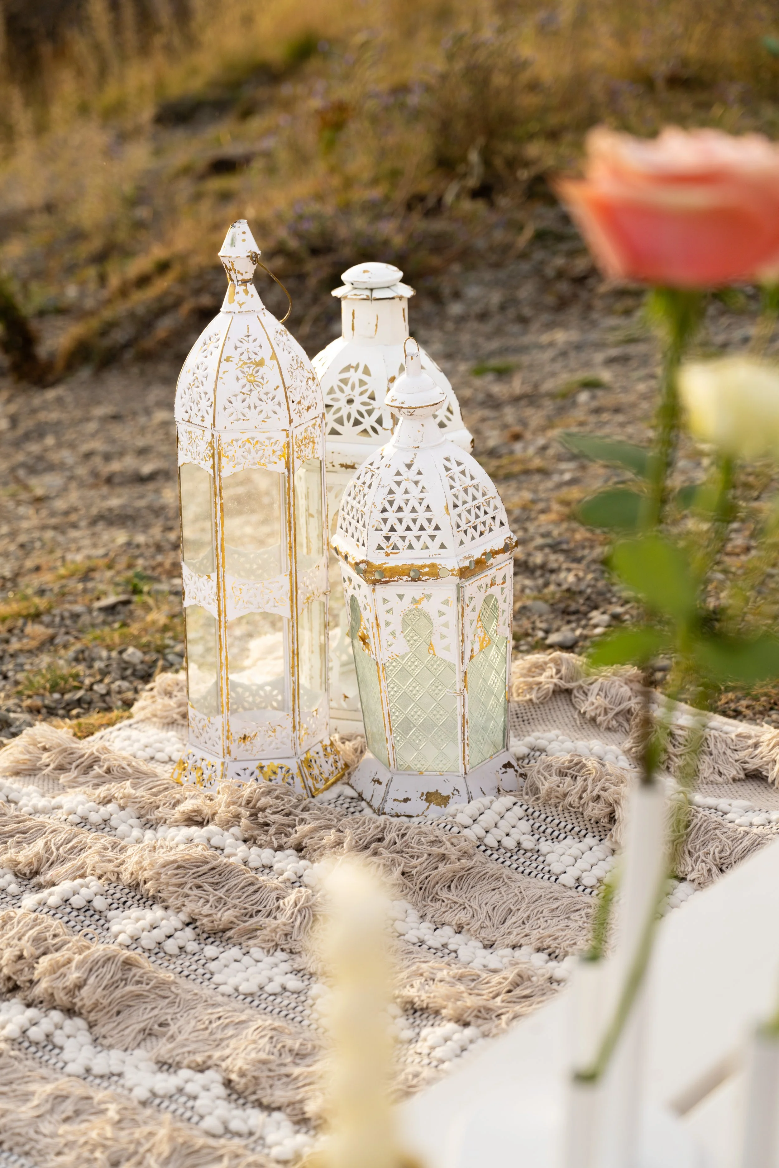 Chris + Sabina Photos-50.jpg