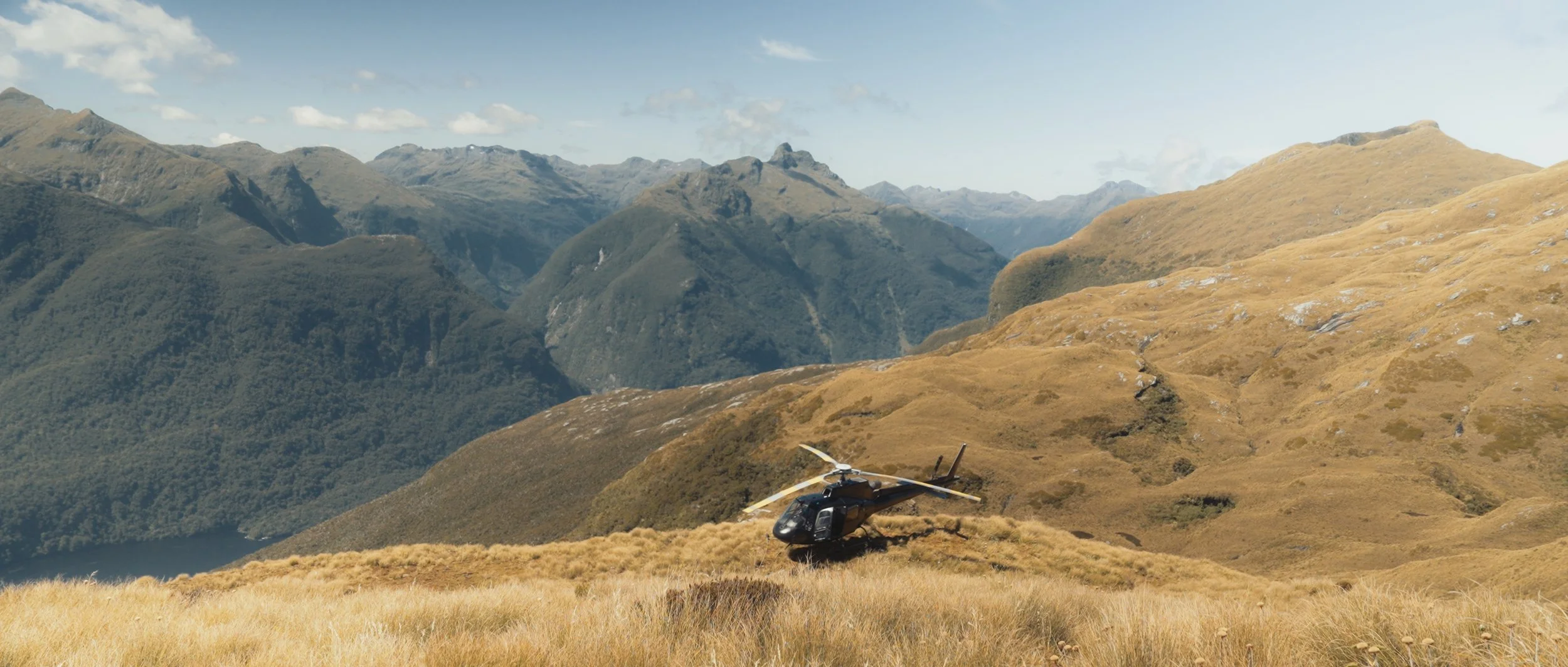 Tara + Jay Stills_1.109.1.jpg