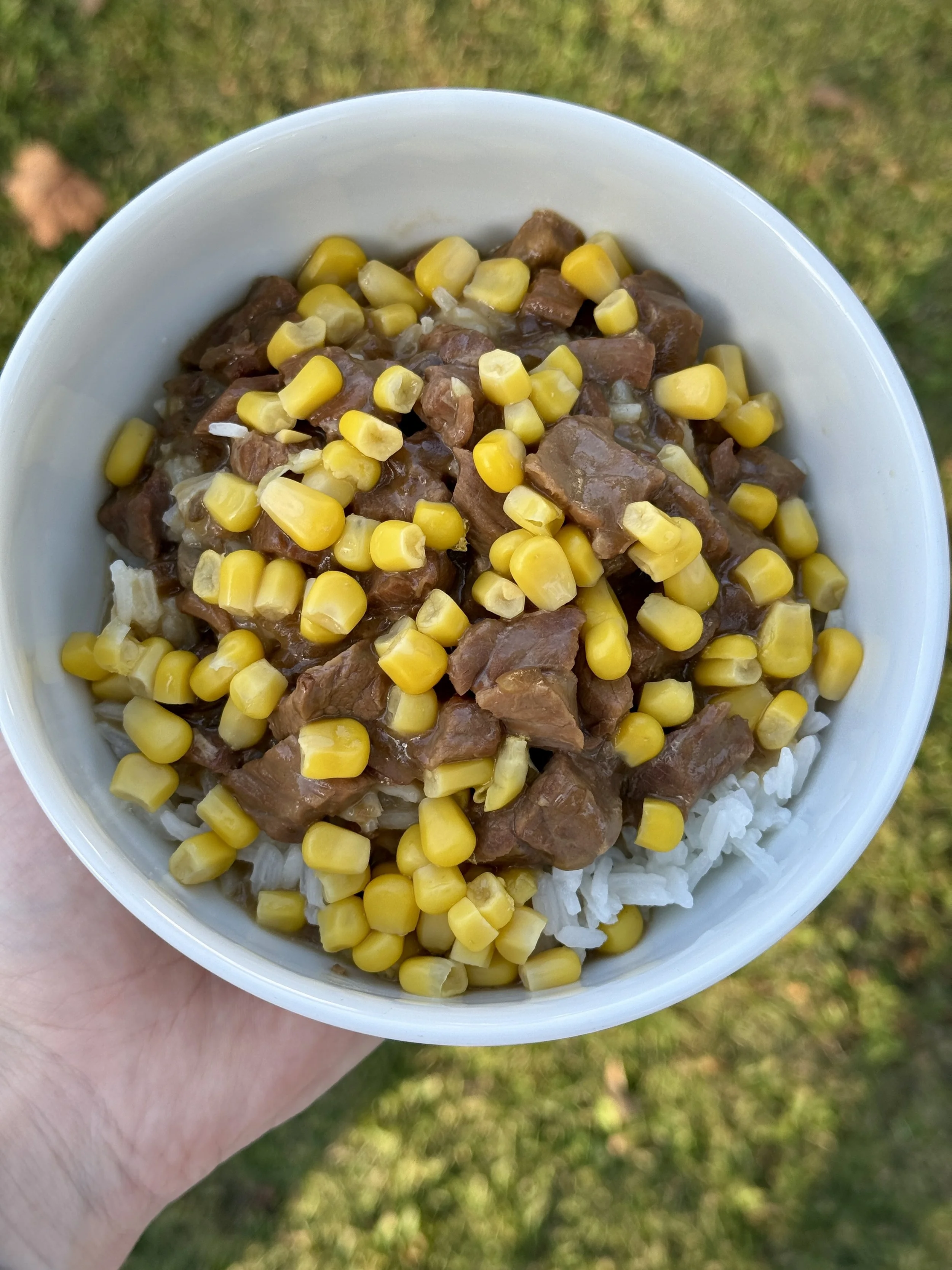 Crockpot Beef Tips & Rice