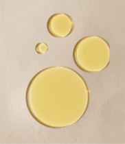 Screenshot 2026-03-16 at 11.05.06 PM.png