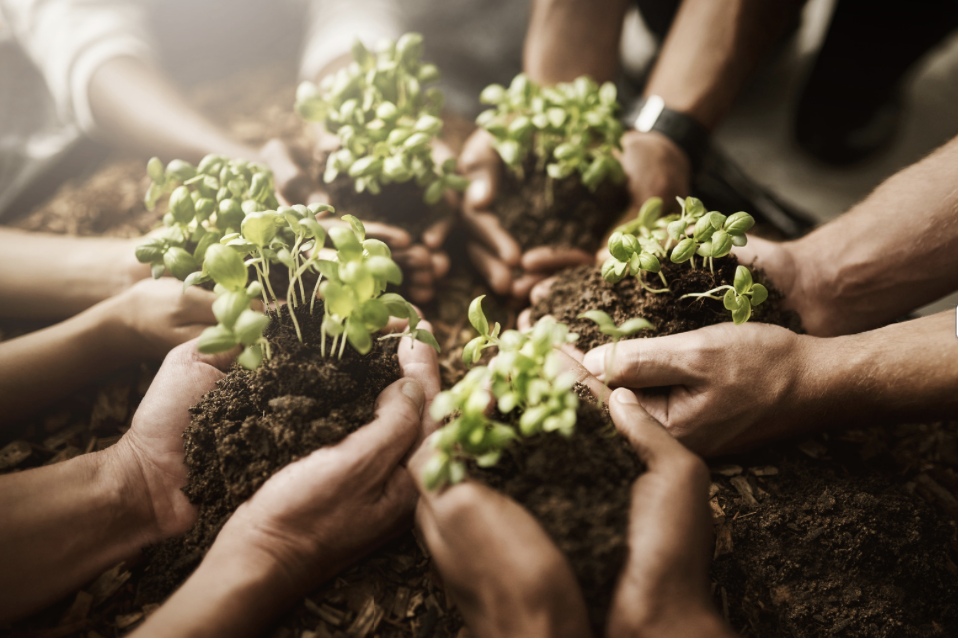 Screenshot 2024-11-04 at 12.42.30 AM.png