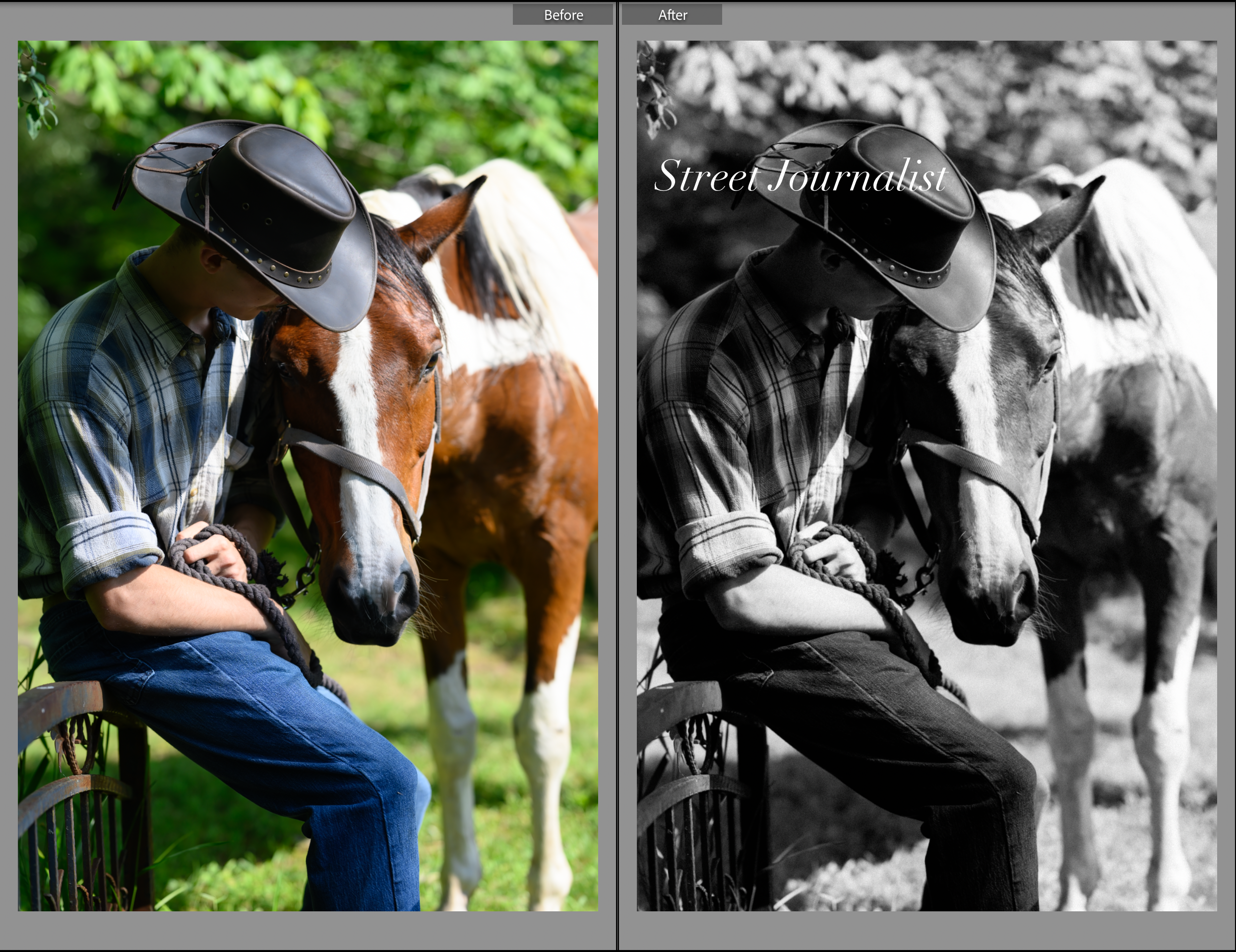 Vintage Film Lightroom Presets