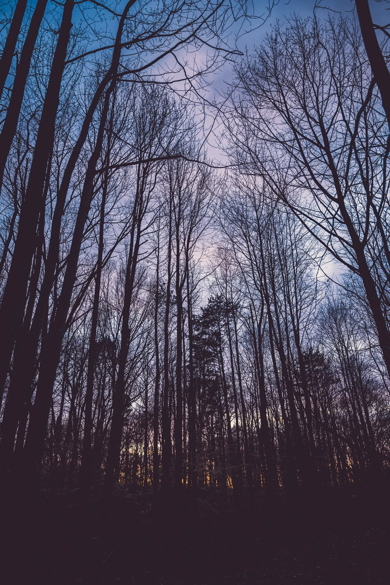 Nikon Z5II | Nikkor Z 24-70mm f/2.8 | f/2.8 | 1/200s | ISO 125