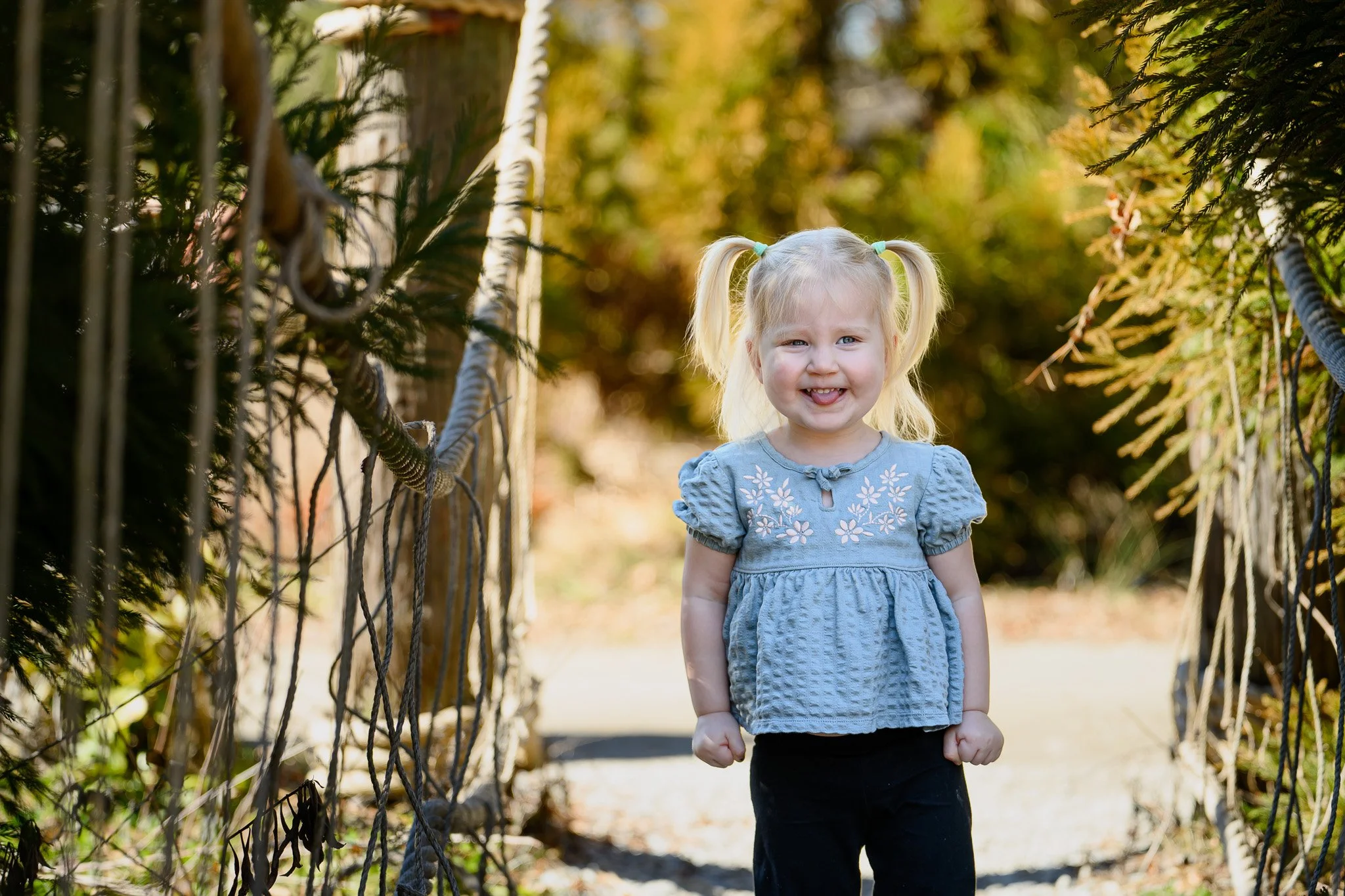 Nikon Z5II | Nikkor Z 70-180mm f/2.8 | f/2.8 | 1/400s | ISO 100