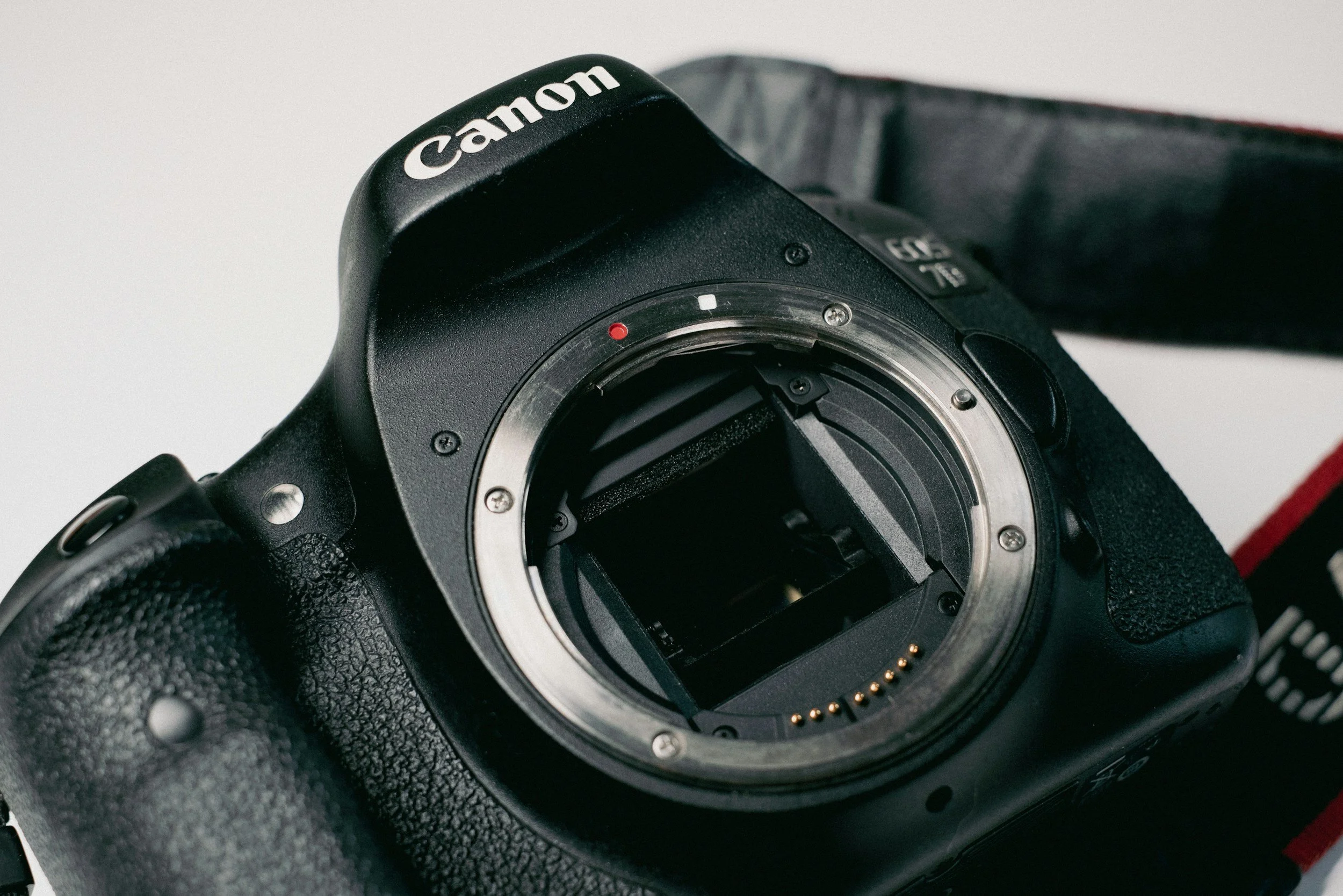 What Is ISO? (The Beginner's Guide to Photography's Most Misunderstood Setting)