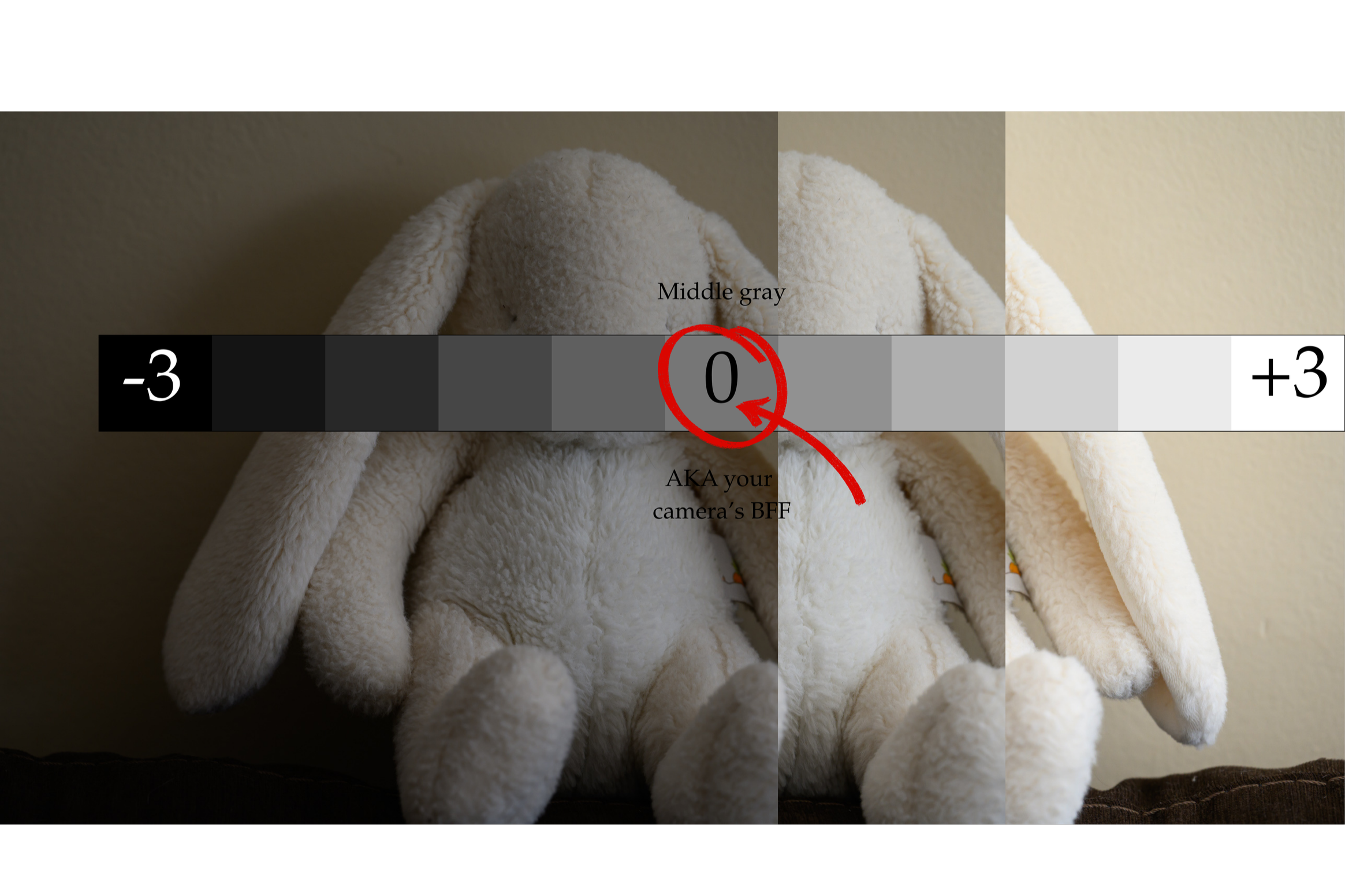 Why Your Light Meter Lies to You (And How to Fix It!)