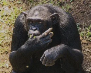 AskariTravel-AfricanAdv-12.jpg