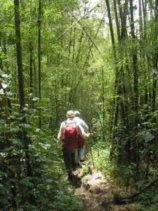 AskariTravel-AfricanAdv-8VNPUmubano-044-bamboo1-225x300.jpg