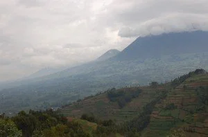 AskariTravel-AfricanAdv-7-Drive-to-Rwanda-025-21-300x1981.jpg