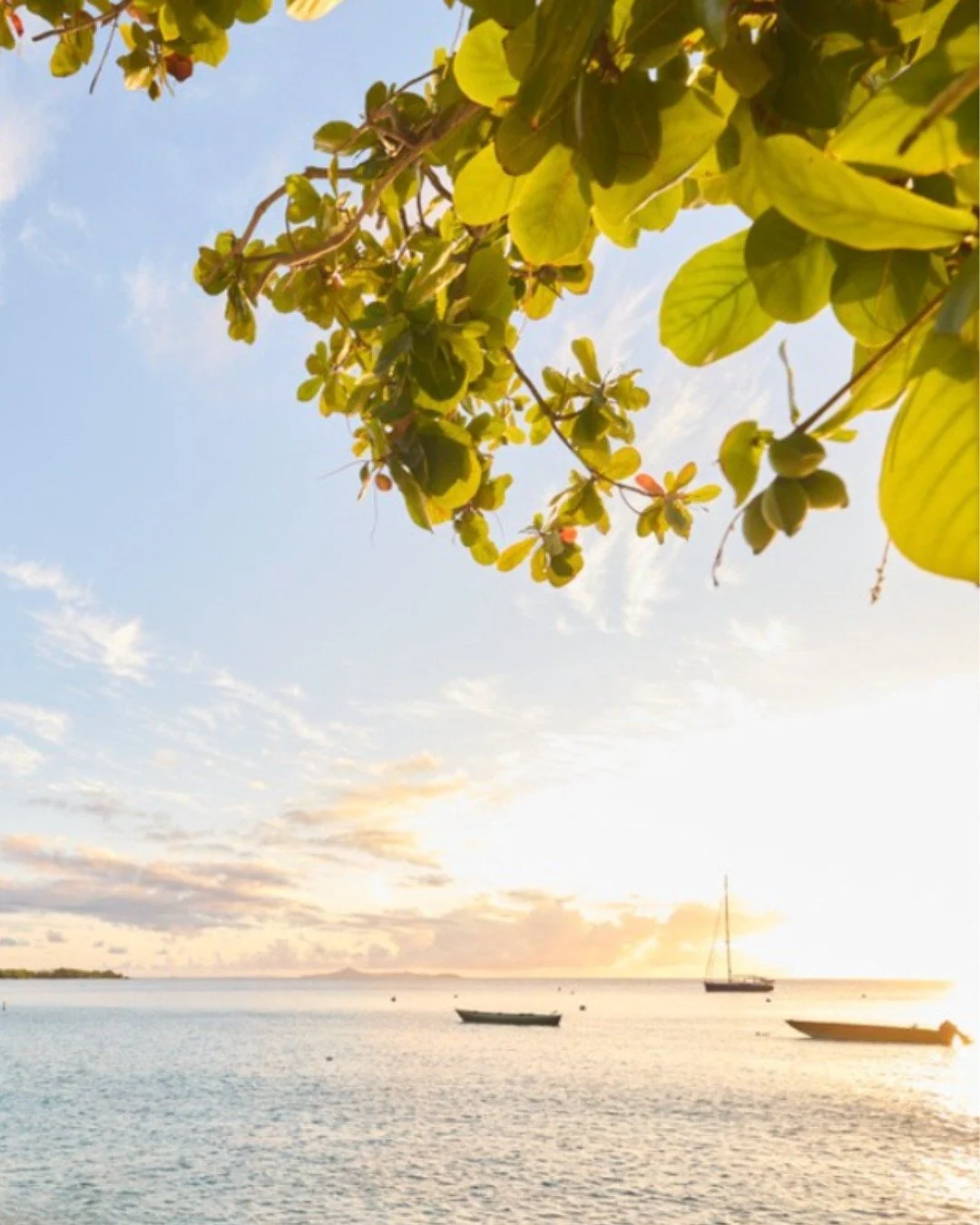 On the shores of Mustique, The Cotton House is the island&rsquo;s beating heart. Think white sands, warm waters of Endeavour Bay, sunset cocktails at the Beach Caf&eacute;, and dinners at the legendary Basil's Bar. 
With just 17 elegant suites set in