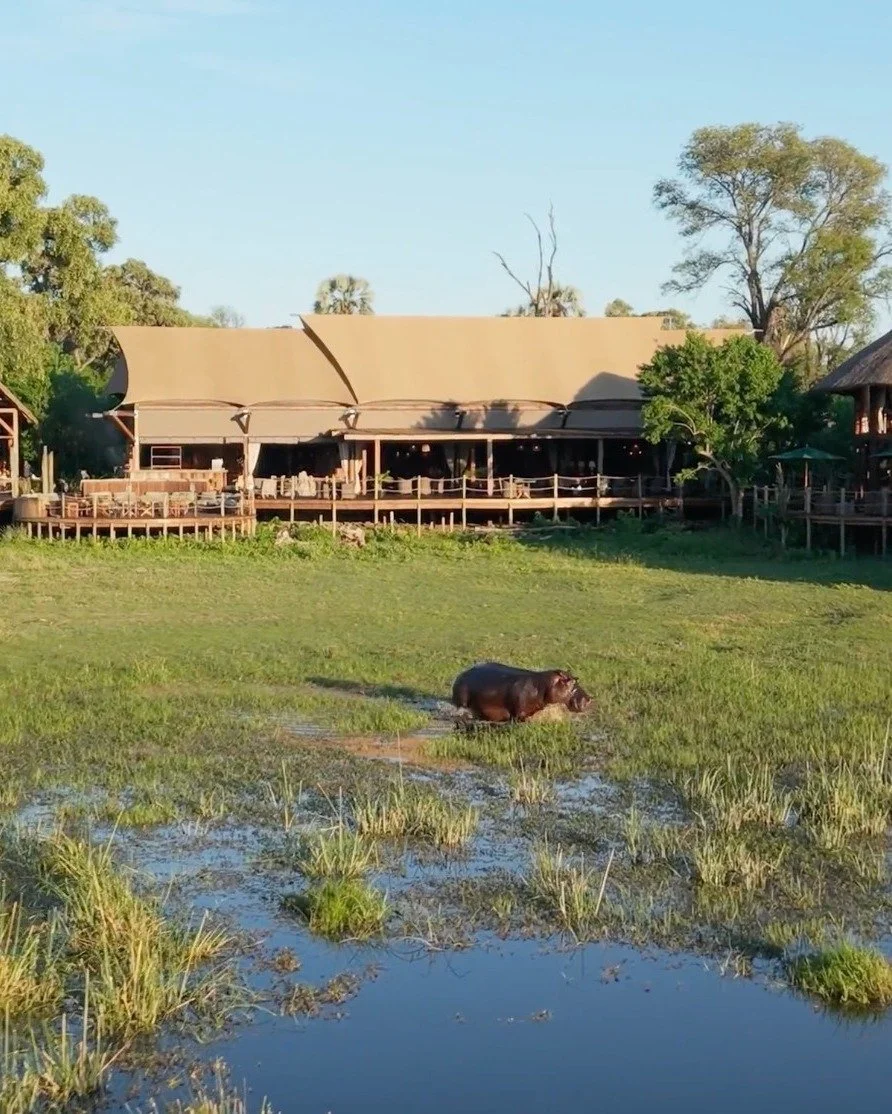 Botswana is one of Africa&rsquo;s great safari success stories. From the extraordinary waterways of the Okavango Delta to the wildlife-rich regions of Chobe and the Savute, the diversity of landscape and game viewing is exceptional.

Atzar&oacute; Ok