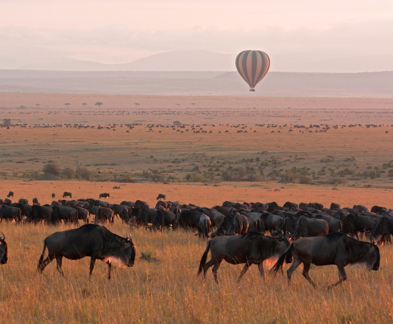Kenya