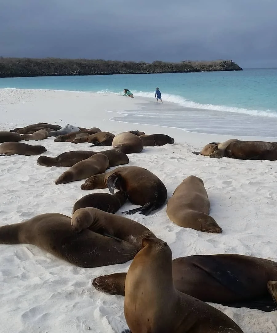 Image: Askari Travel