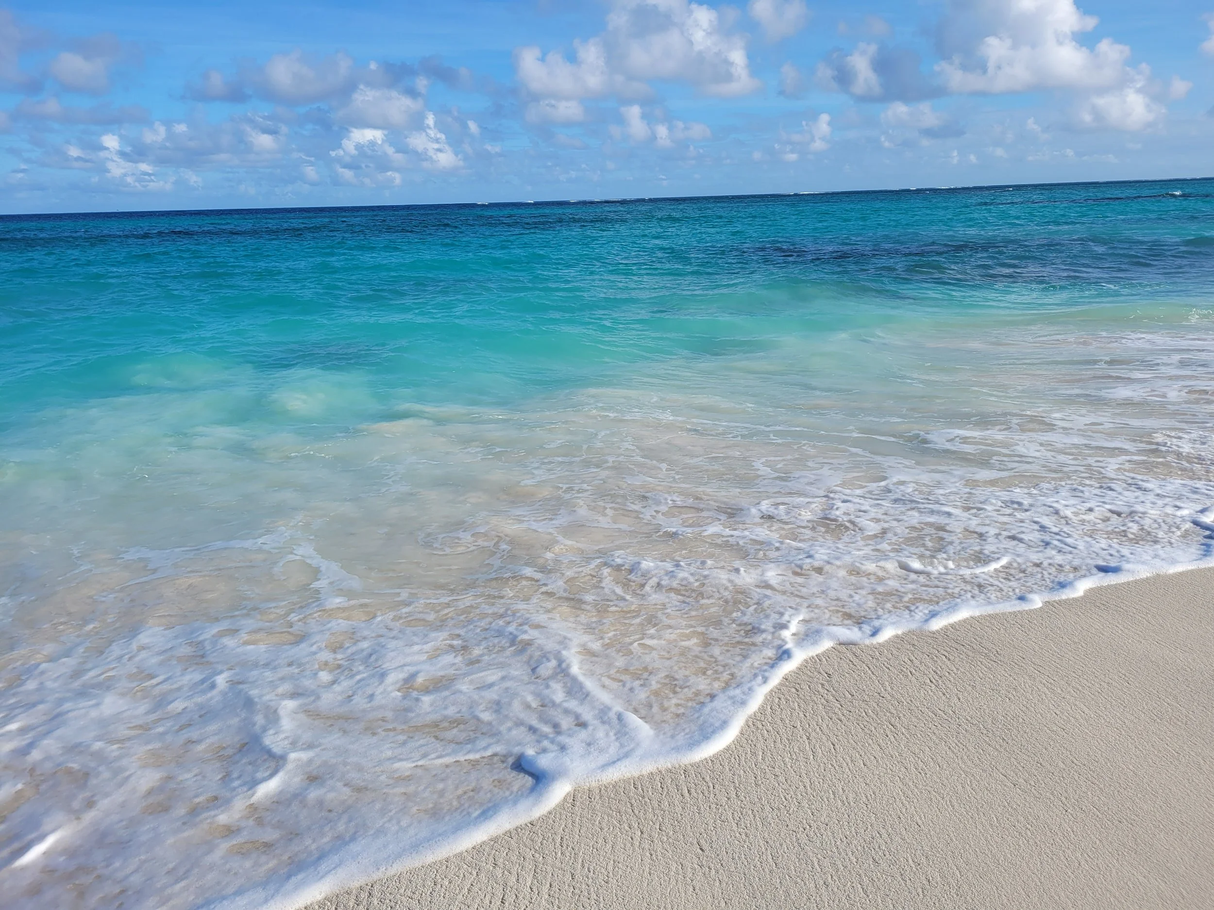 2022-11-11 08.12.01.jpg