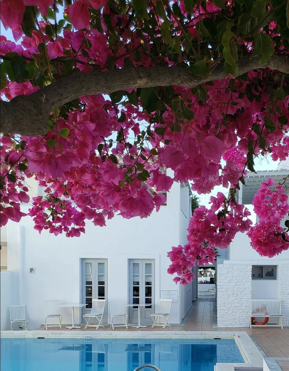 Image: Askari Travel