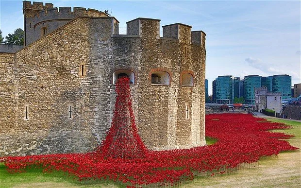 Askari-London-Poppy-5.jpg